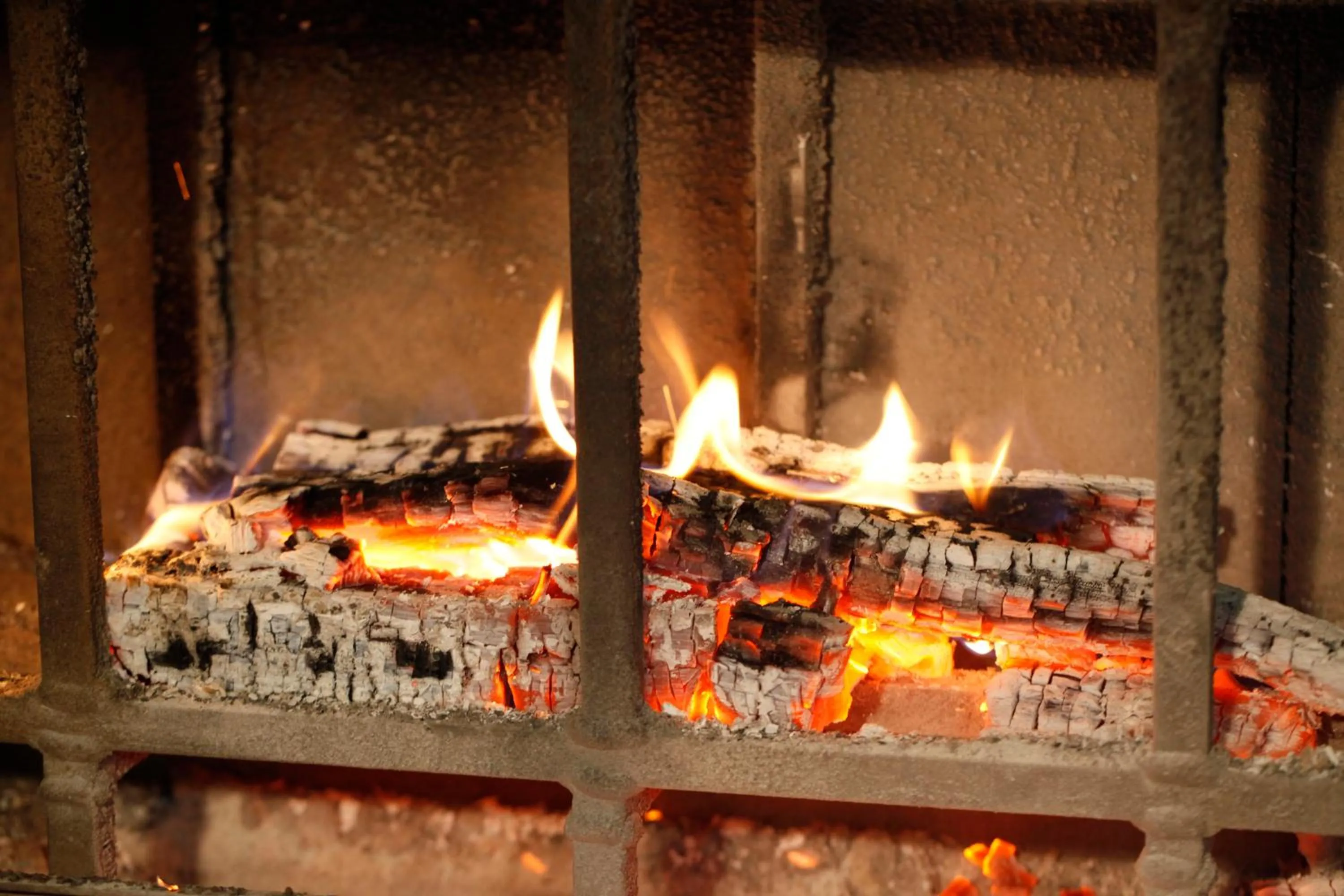 Restaurant/places to eat in Albergo Ristorante Svizzero