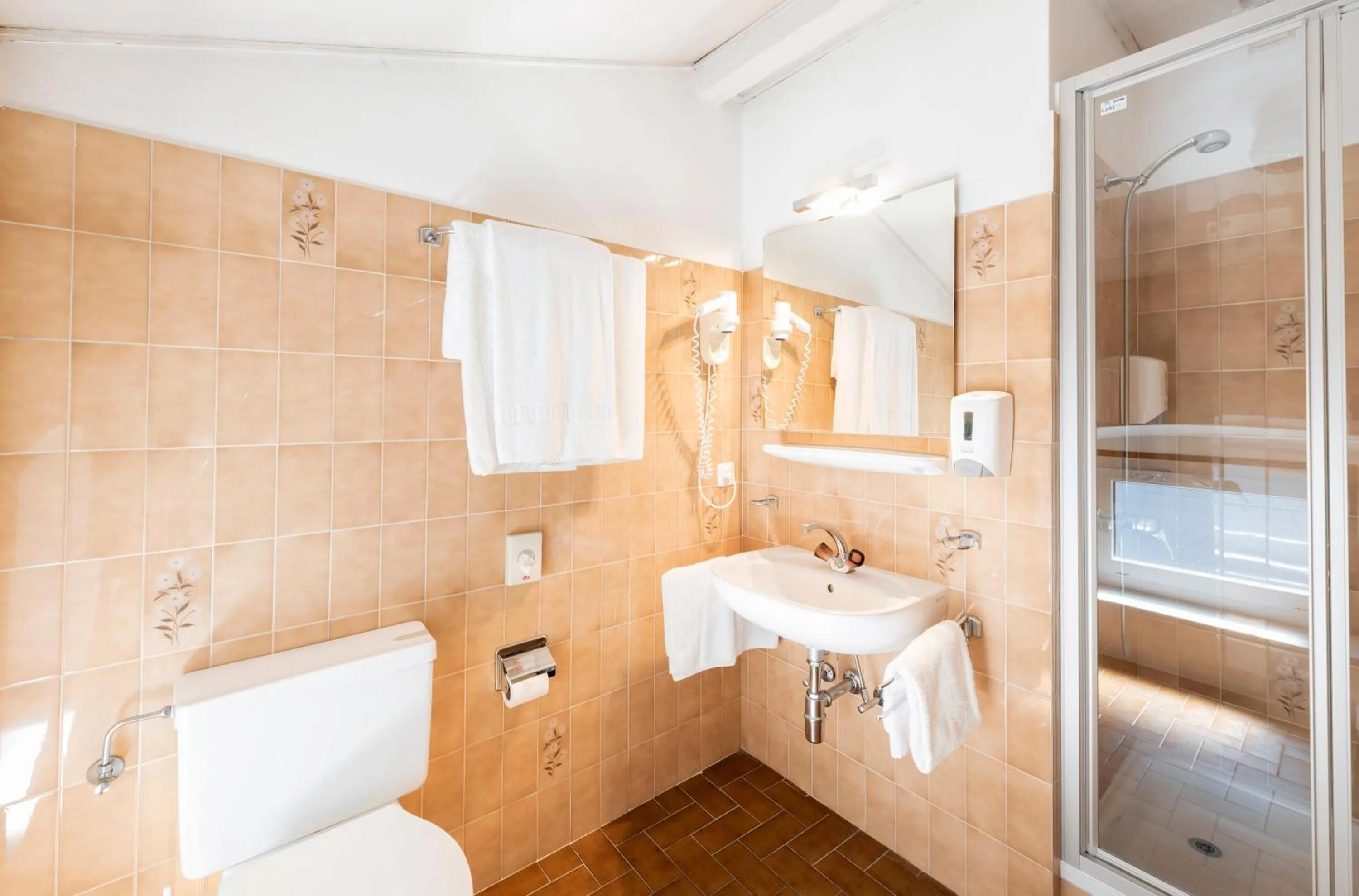 Shower in Albergo Ristorante Svizzero