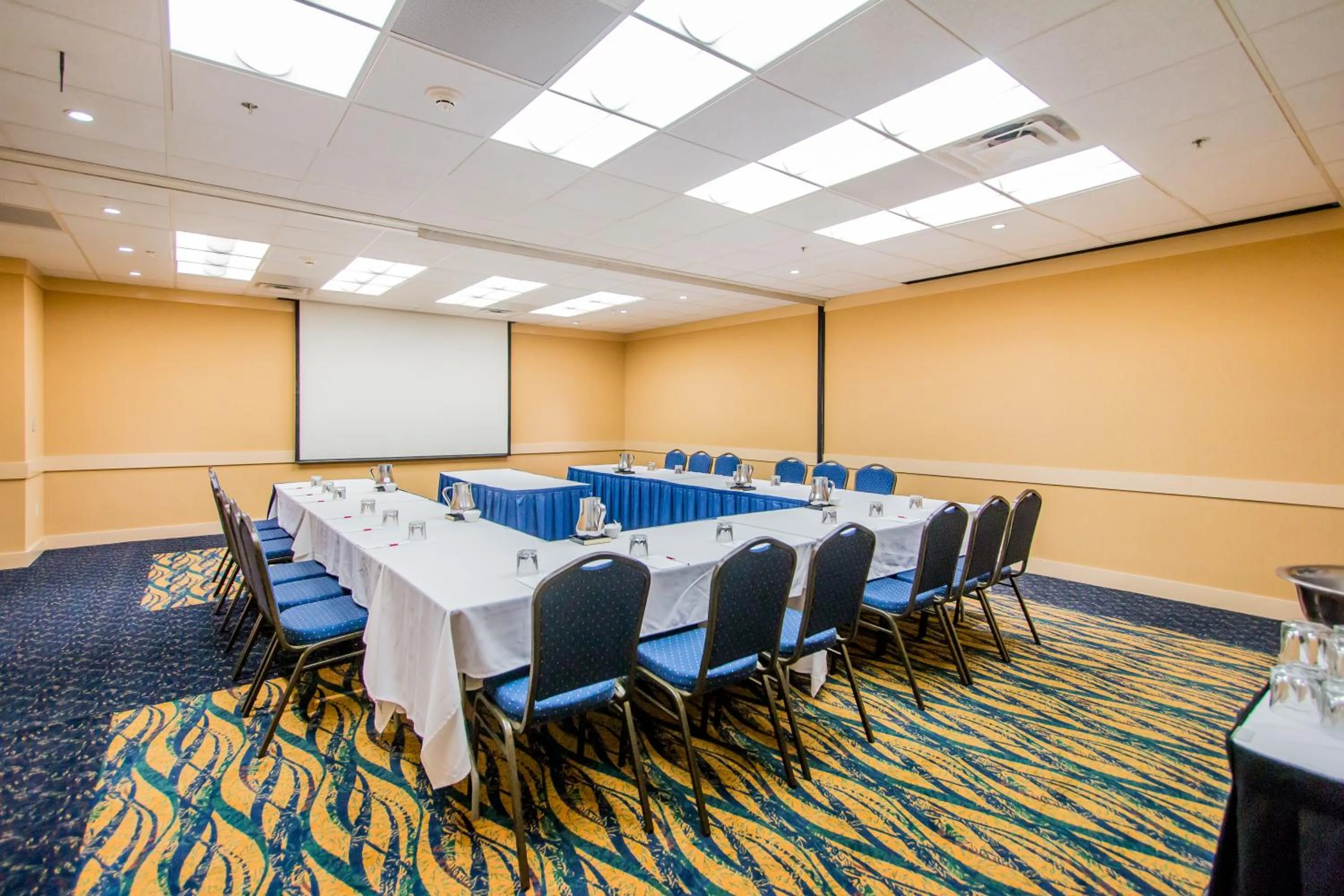 Meeting/conference room in Doubletree By Hilton Battle Creek