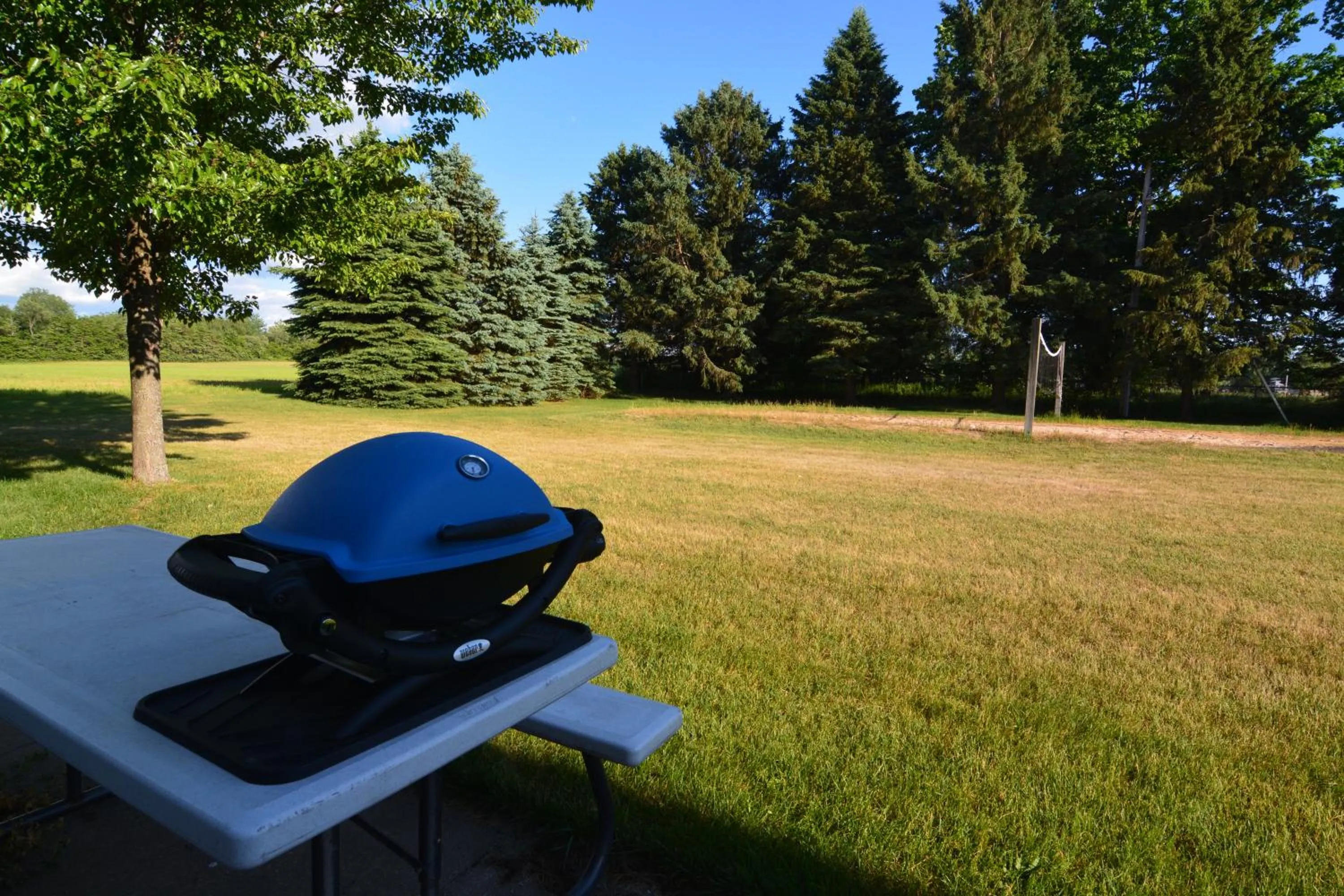 Garden in Hop & Vine Inn