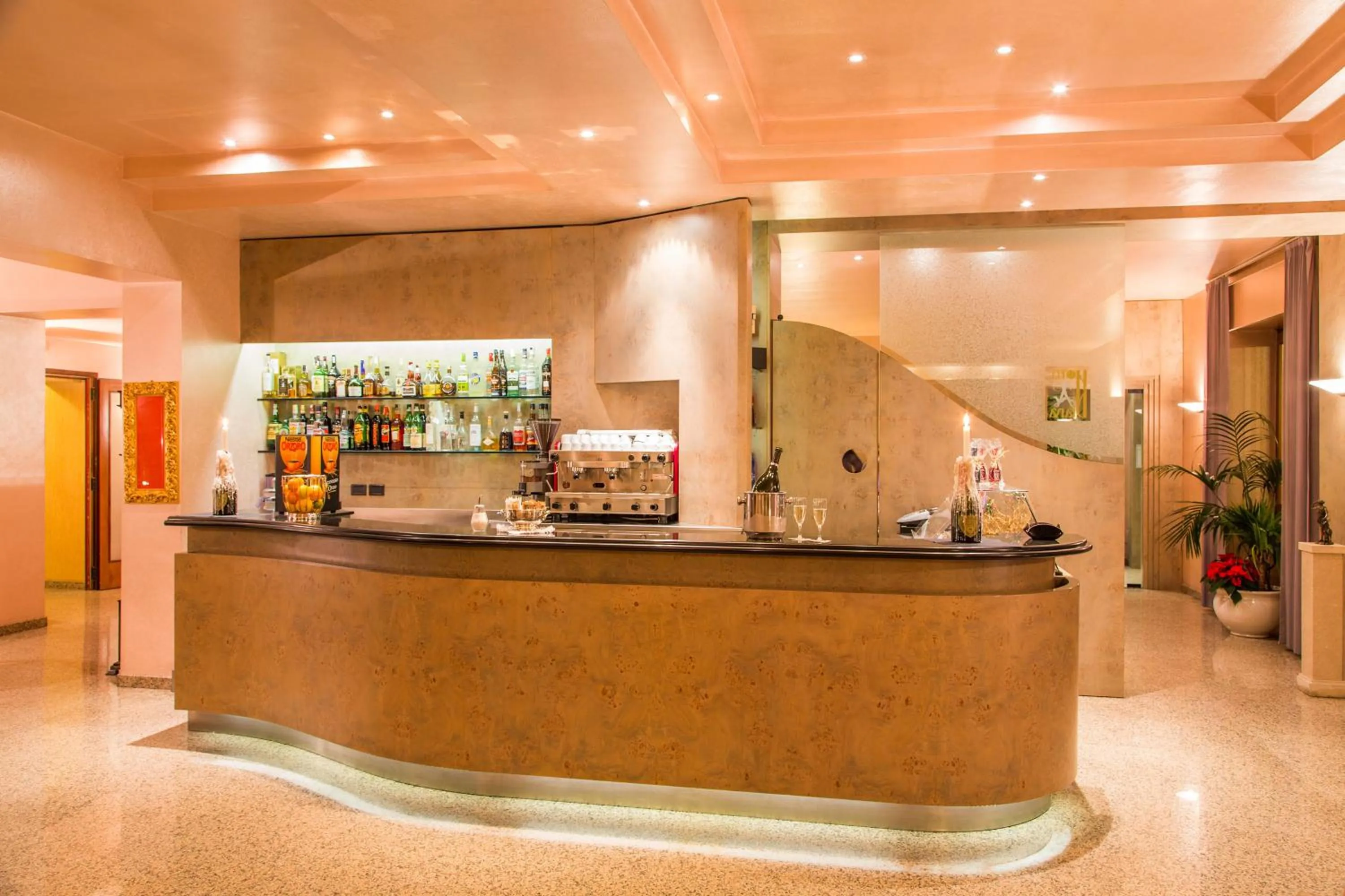 Lounge or bar in Hotel Diana