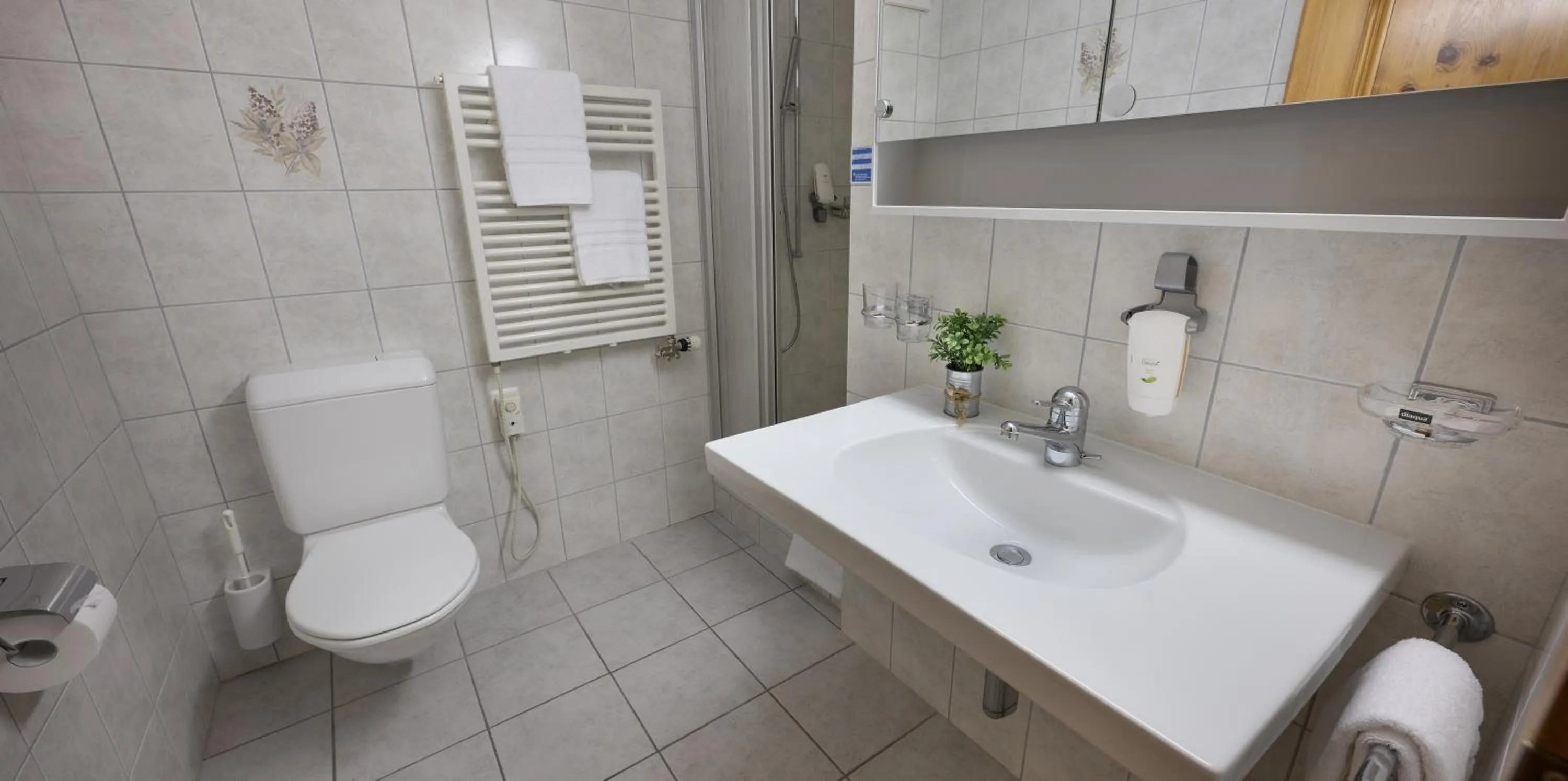 Bathroom in Hotel Acla Filli