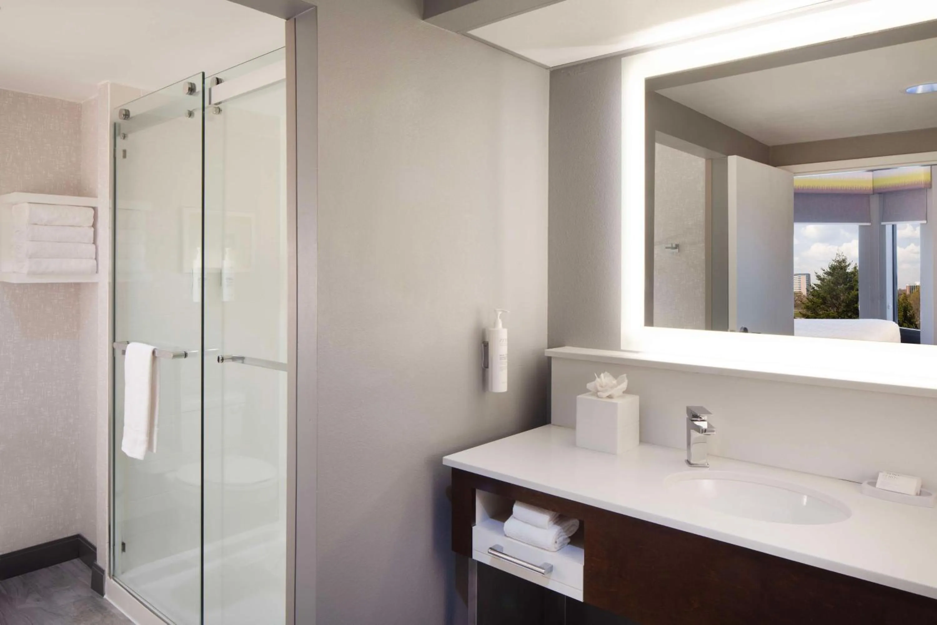 Bathroom in Hampton Inn & Suites-Atlanta Airport North-I-85