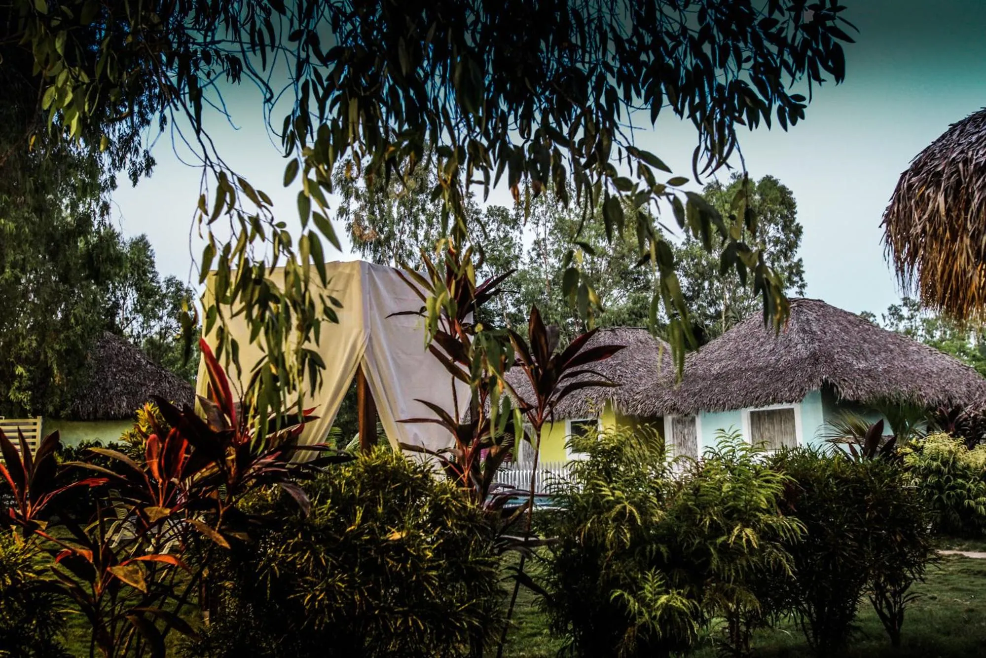Garden in Las Dunas Surf Resort