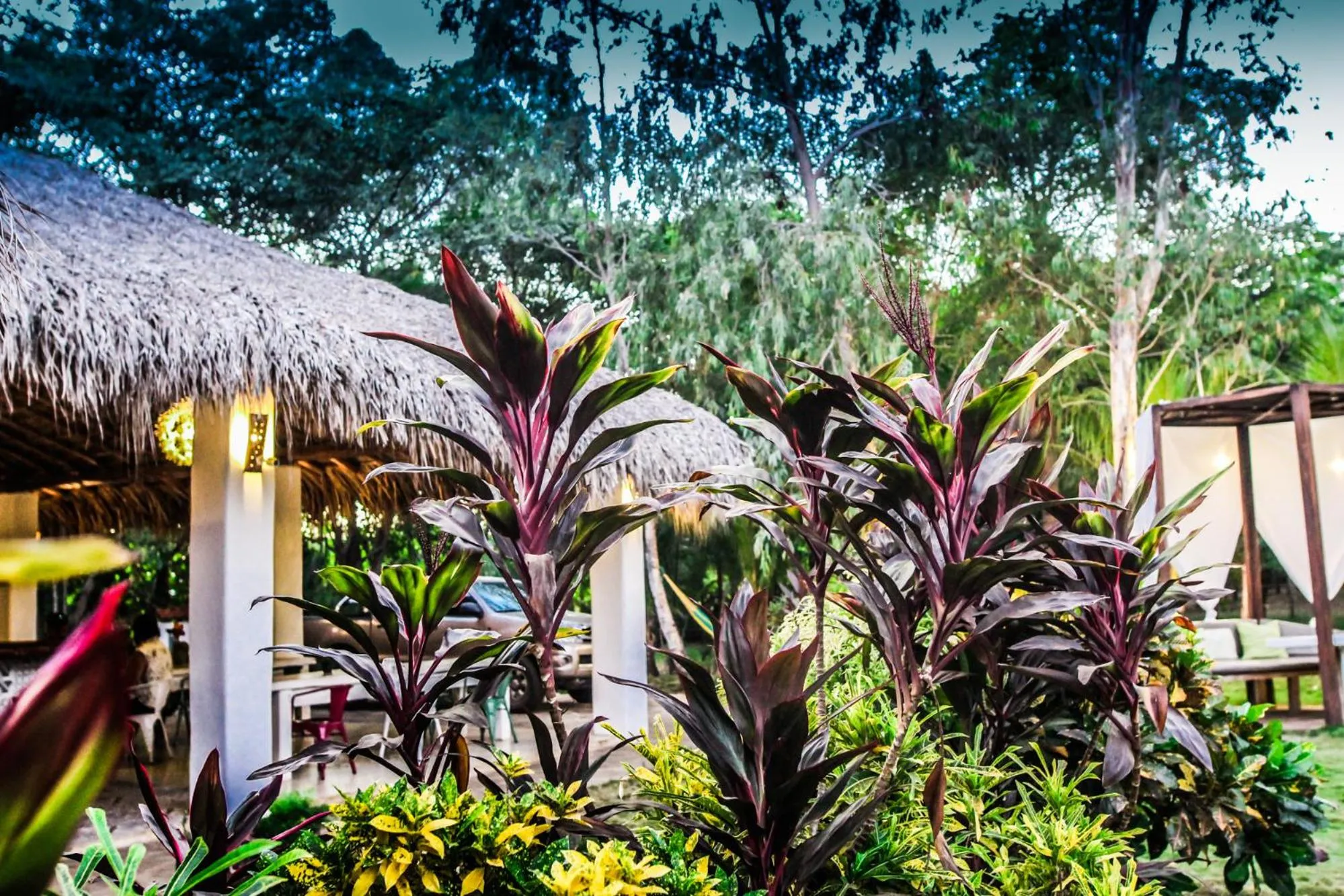 Property building in Las Dunas Surf Resort