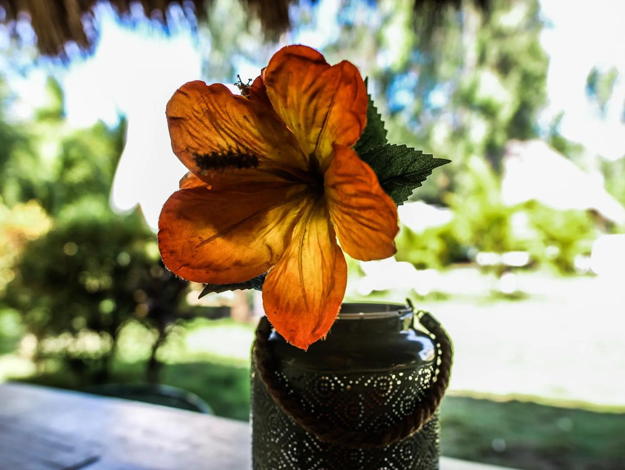 Restaurant/places to eat in Las Dunas Surf Resort