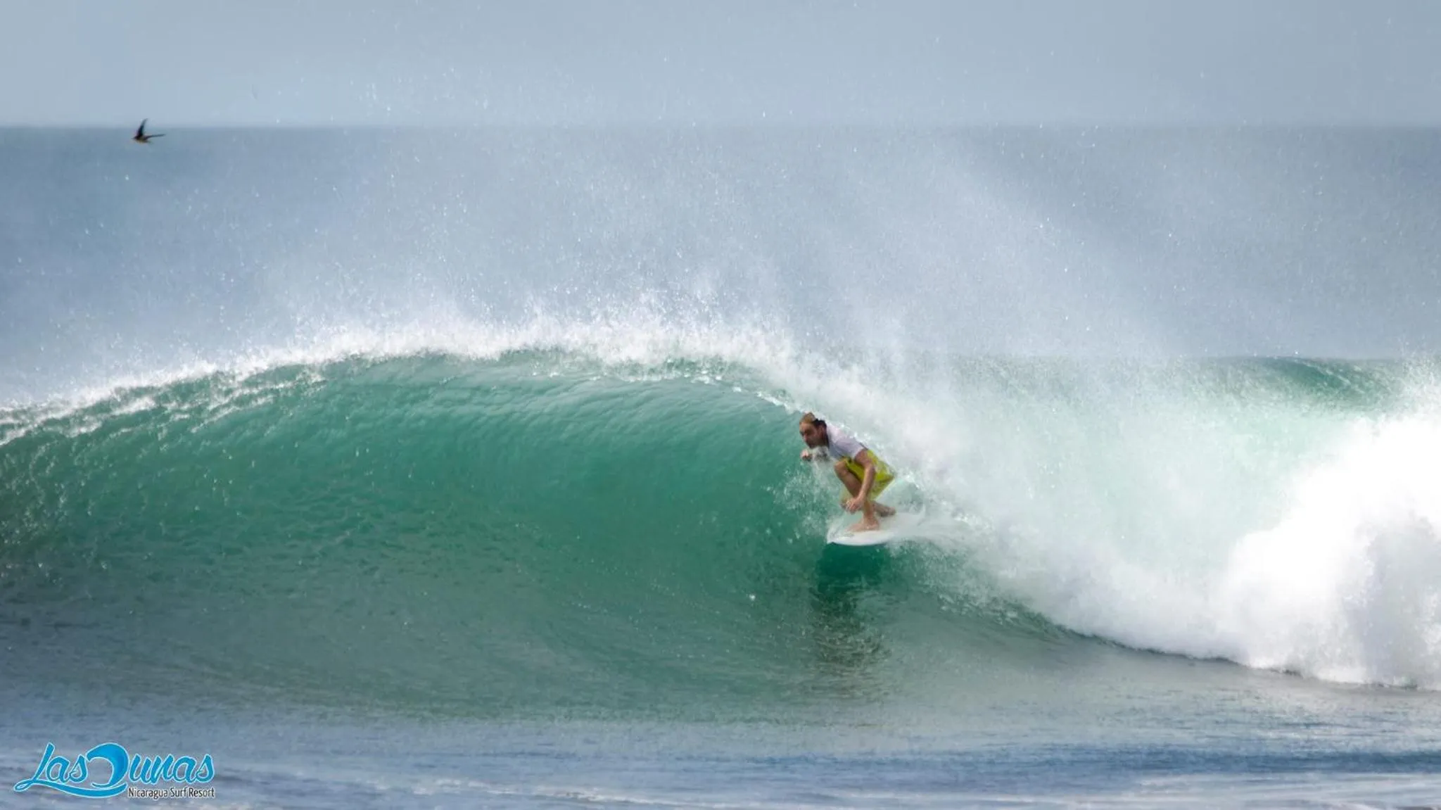 People in Las Dunas Surf Resort