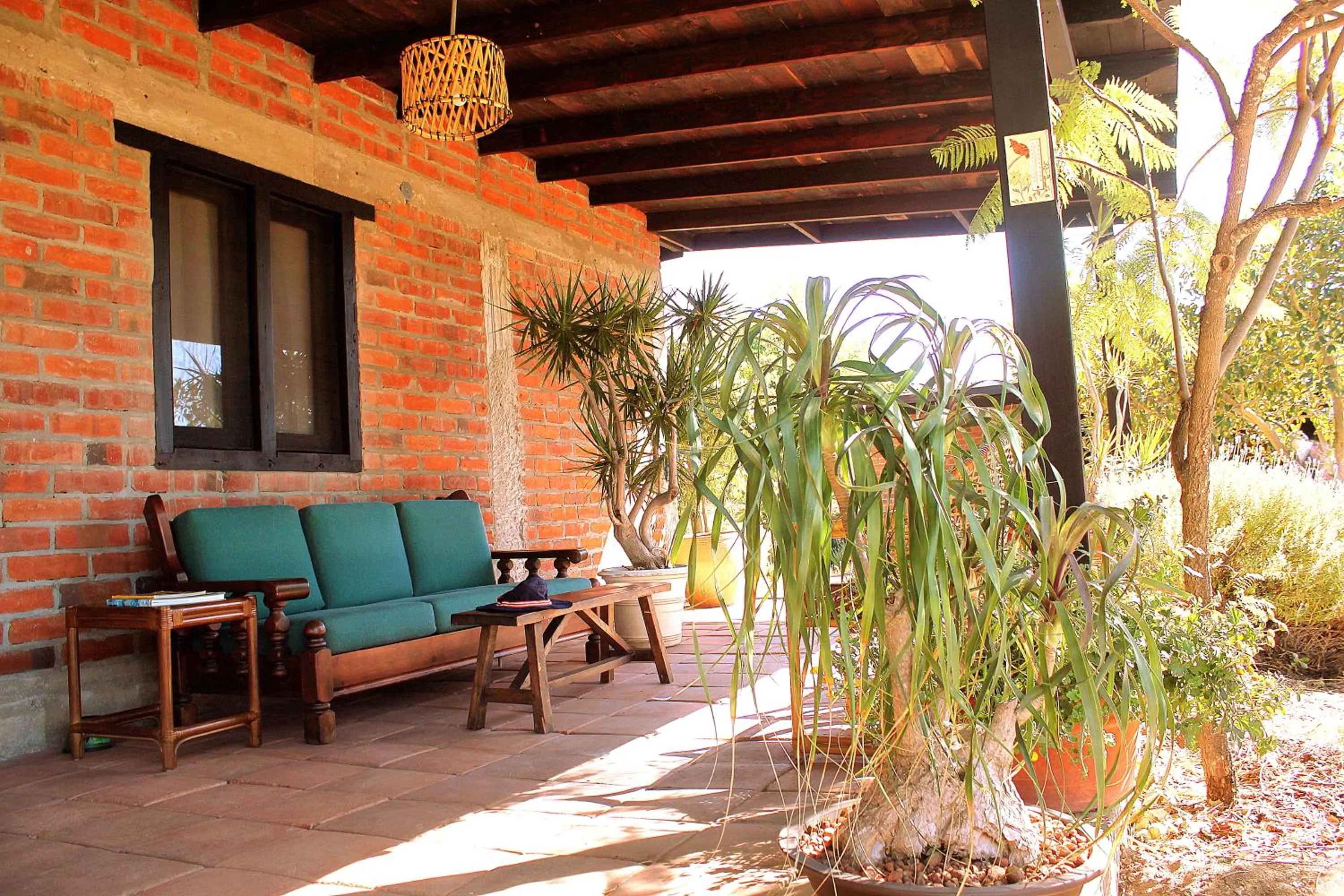 Patio in Las Orquideas