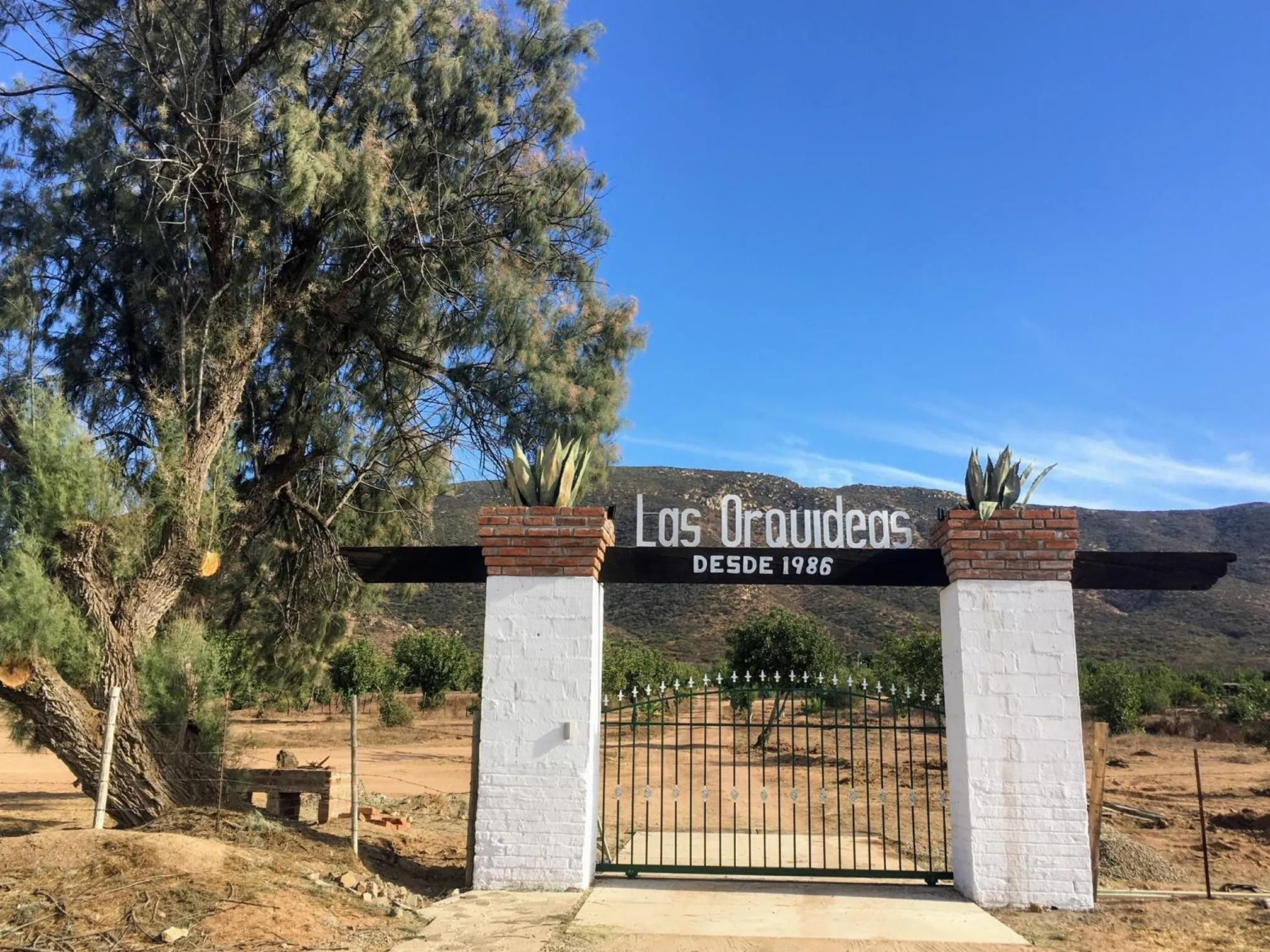 Mountain view in Las Orquideas