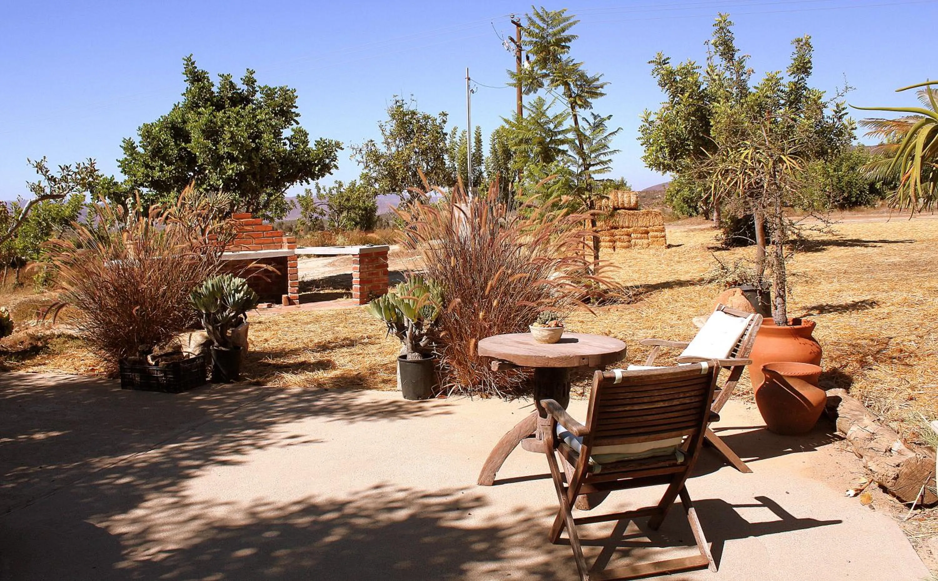 Seating area in Las Orquideas