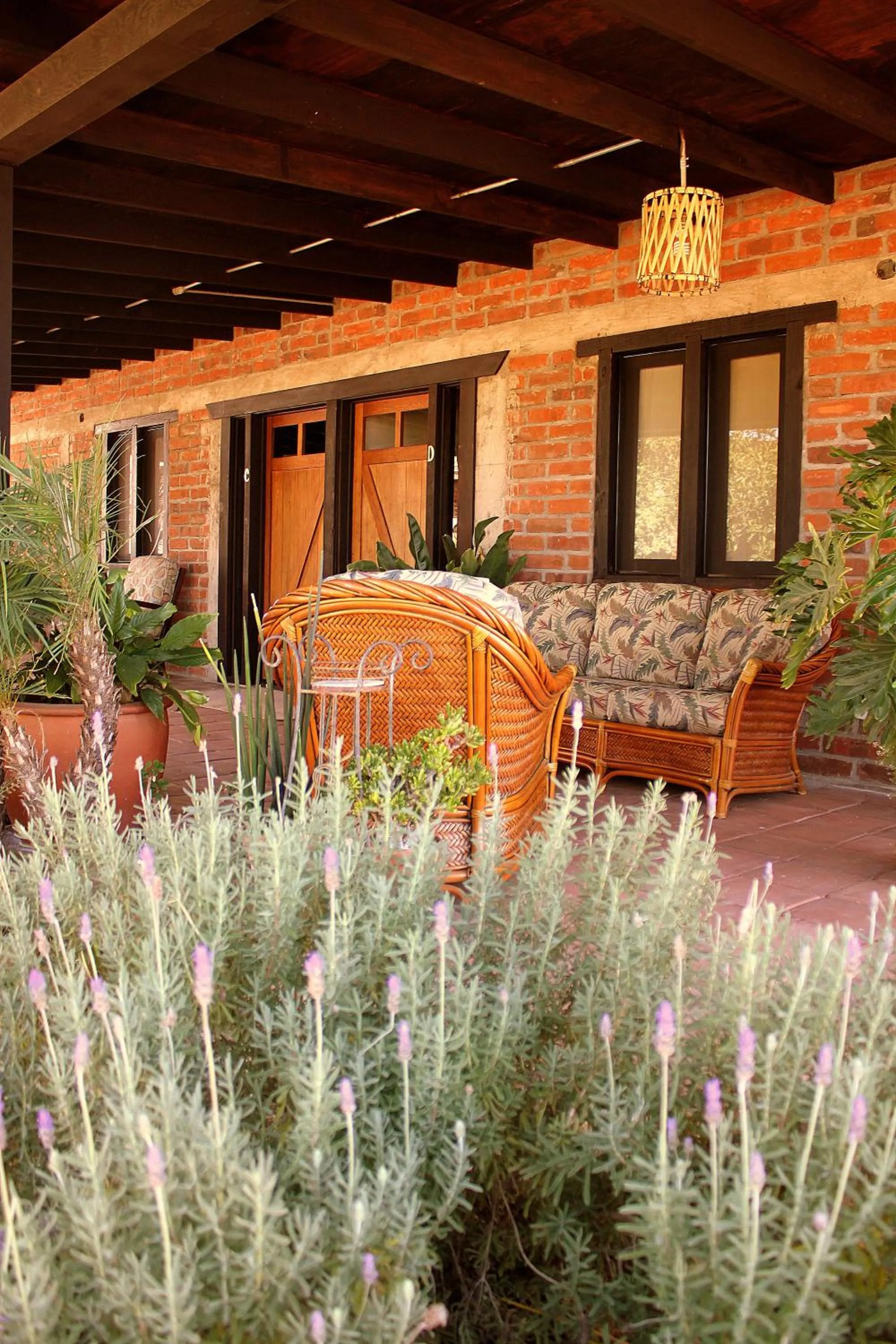 Patio in Las Orquideas