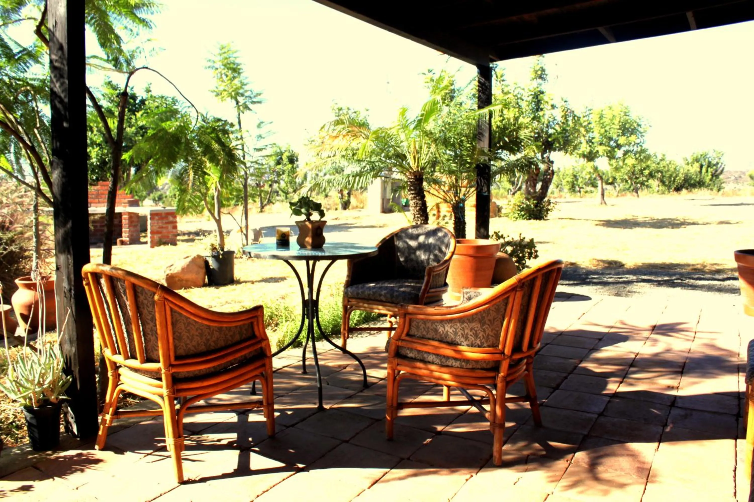 Patio in Las Orquideas
