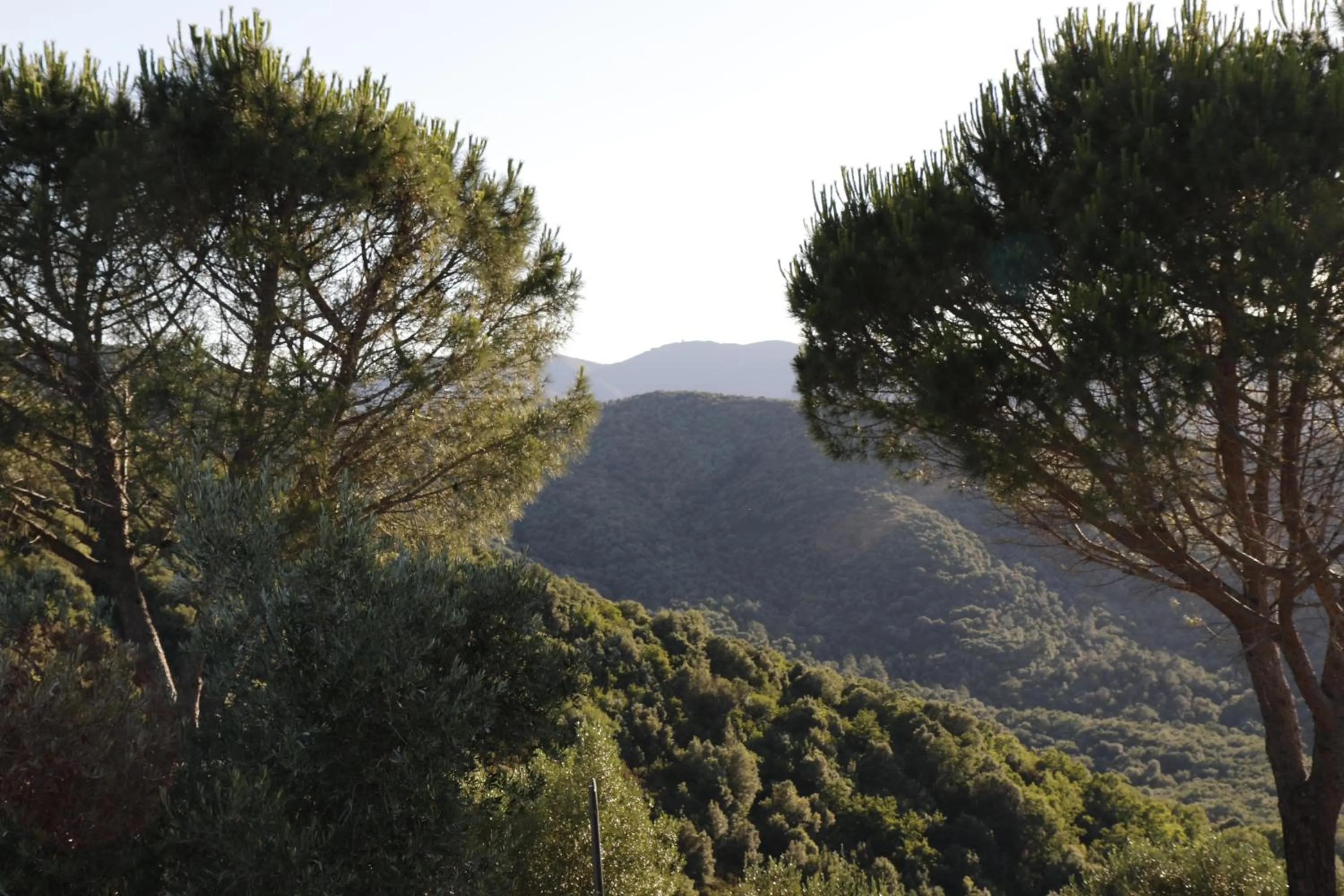 Landmark view in Locanda Mossa Dei Barbari