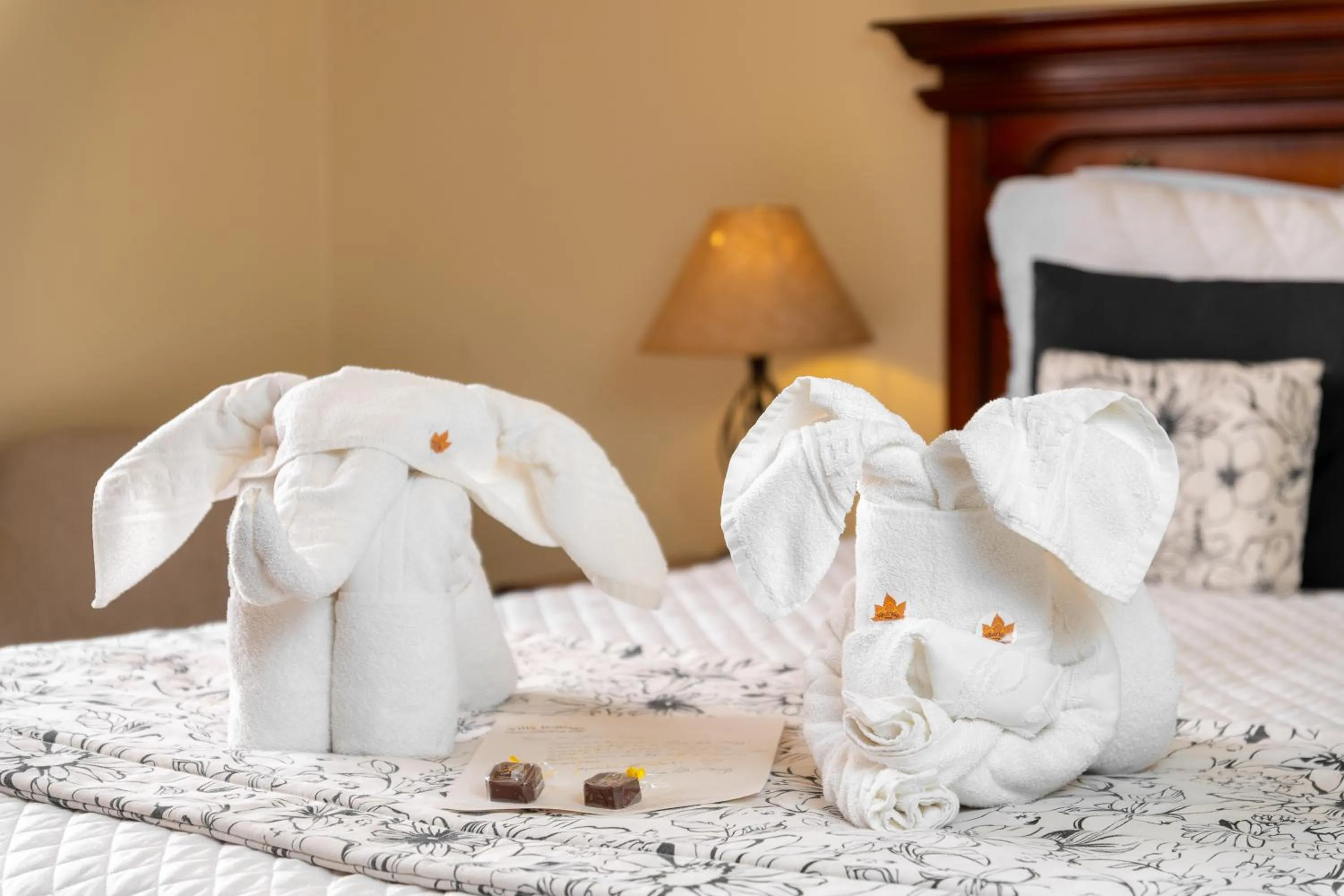 Bed in Pousada D'Biagy Raízes