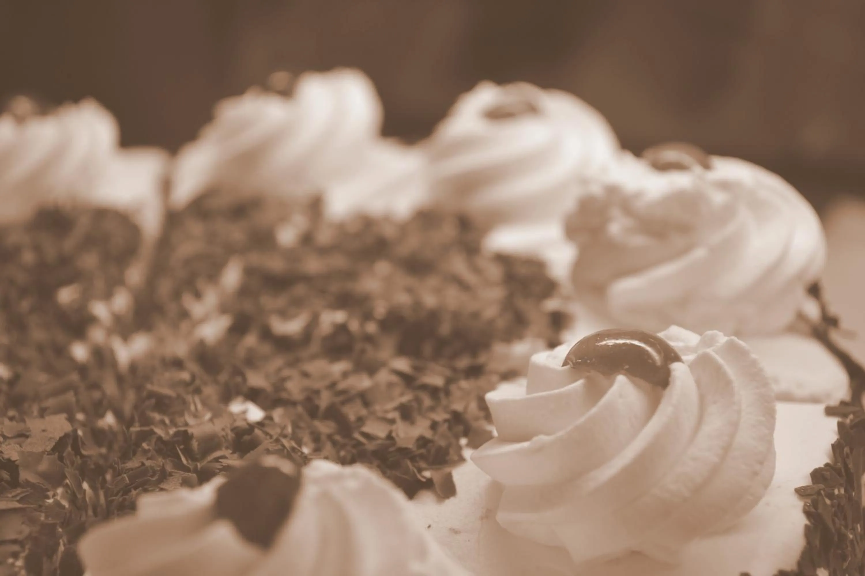 Food close-up in Schnider Bed&Breakfast und Café