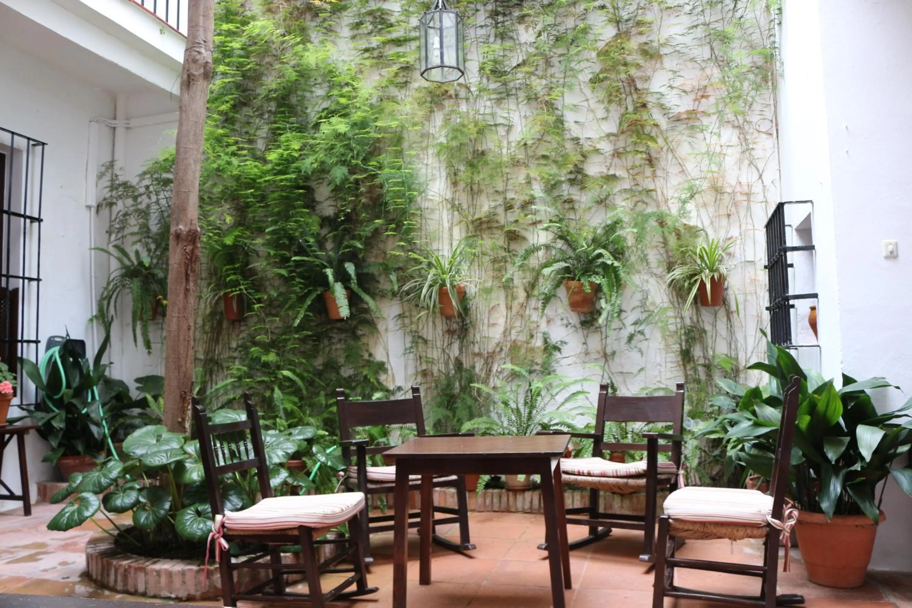 Patio in Hostal Gran Capitan