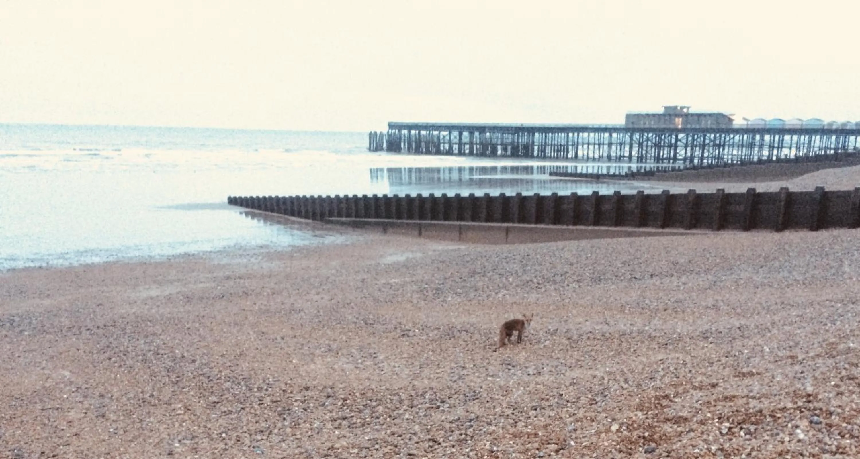 Sea view in Alexanders