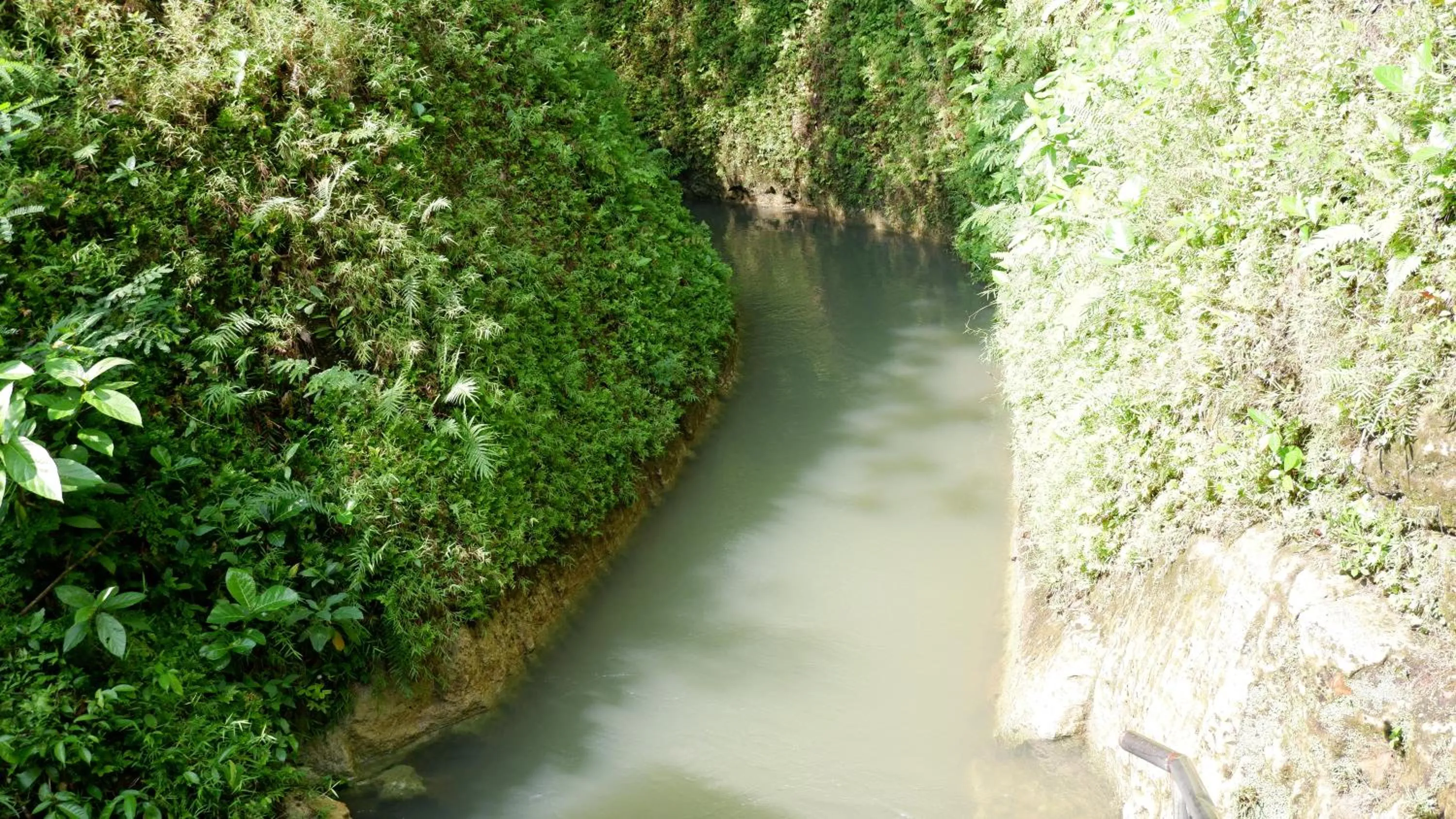 Property building in Hau Eco Lodges Citumang Pangandaran