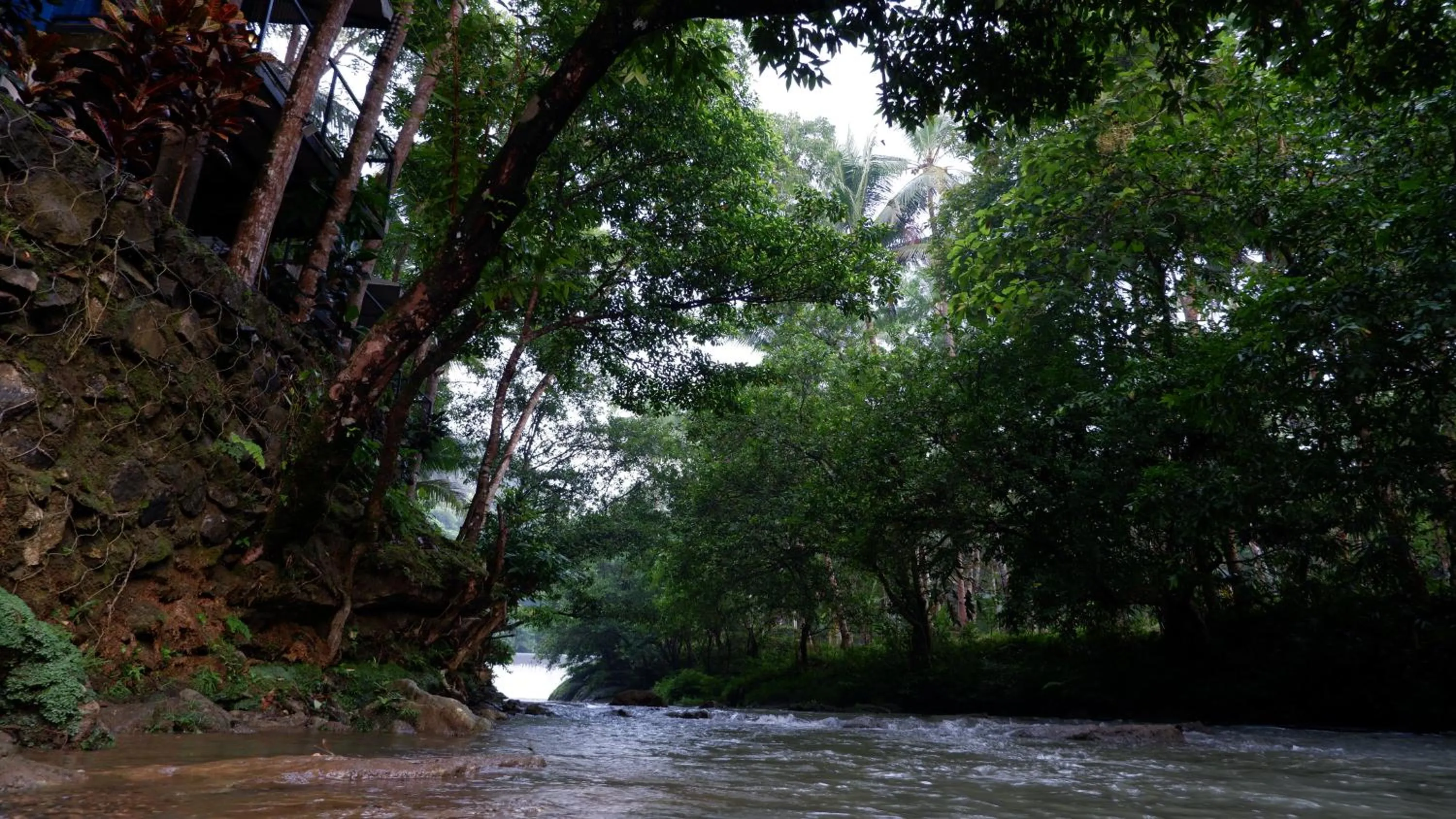 River view in Hau Eco Lodges Citumang Pangandaran