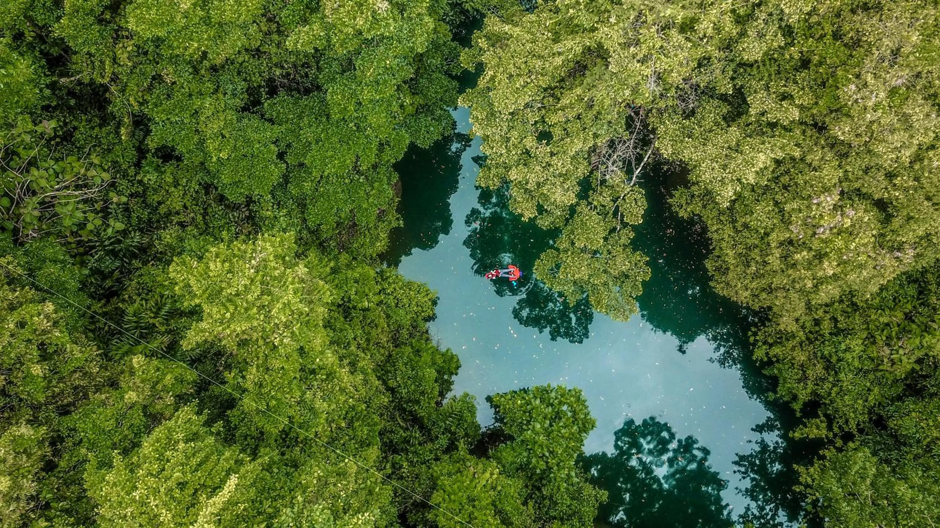 Natural landscape in Hau Eco Lodges Citumang Pangandaran