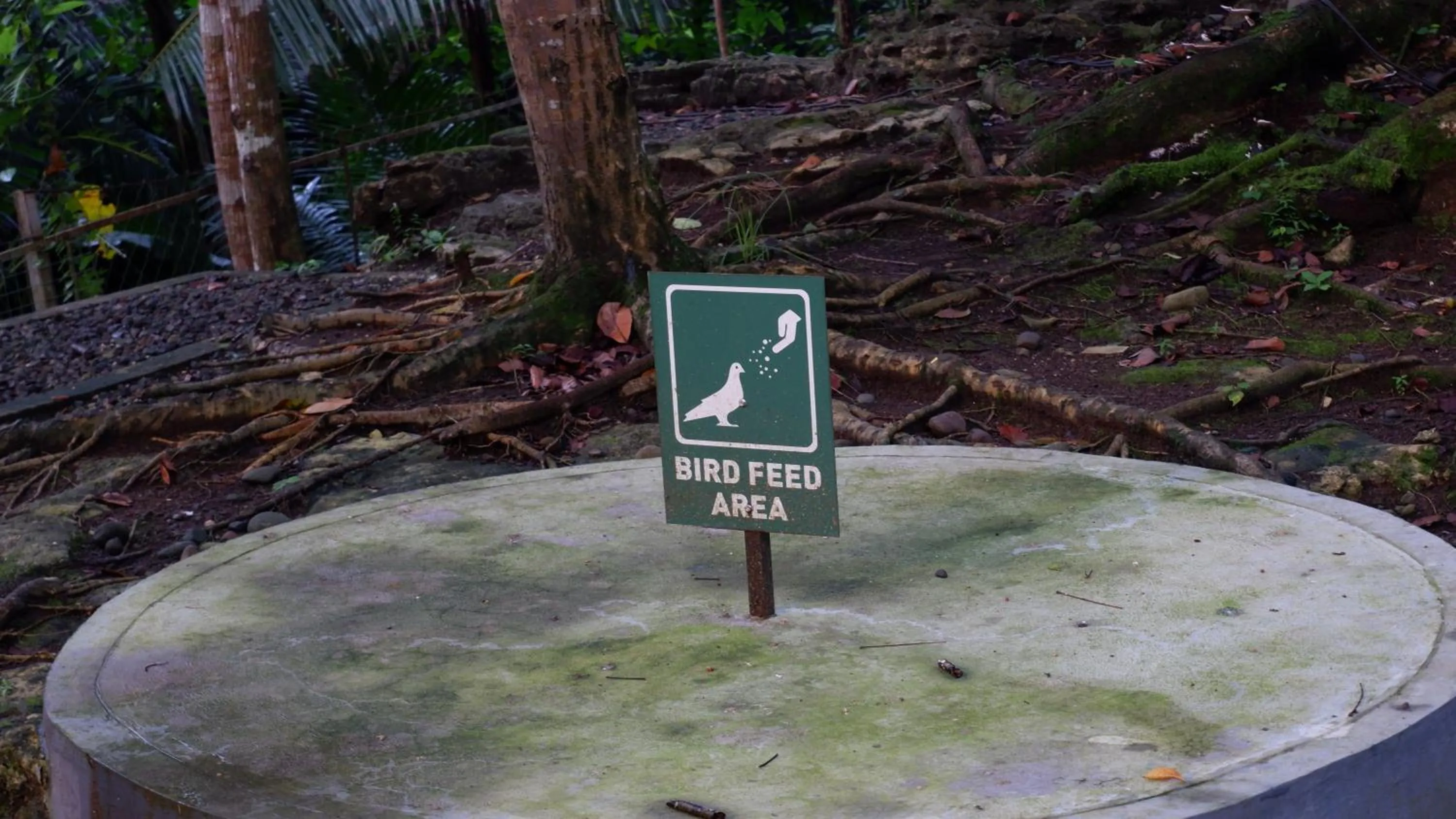 Property building in Hau Eco Lodges Citumang Pangandaran