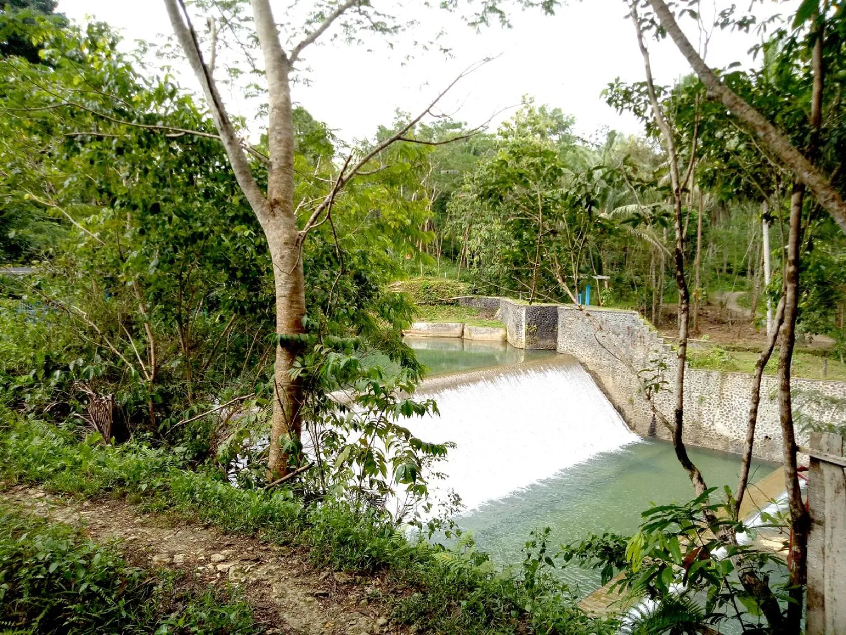 Garden view in Hau Eco Lodges Citumang Pangandaran