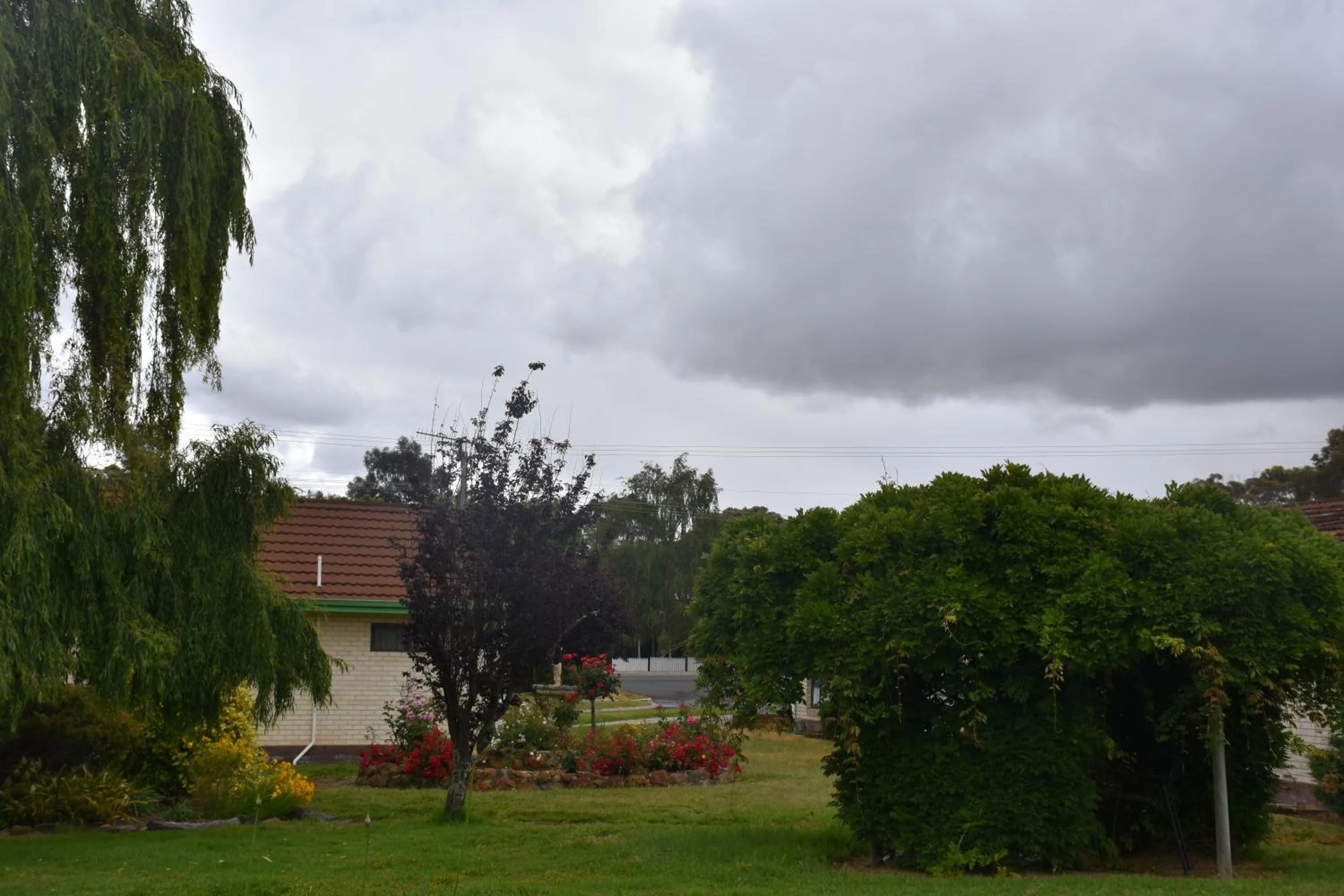 Garden view in Mount Barker Valley Views Motel & Chalets, Western Australia