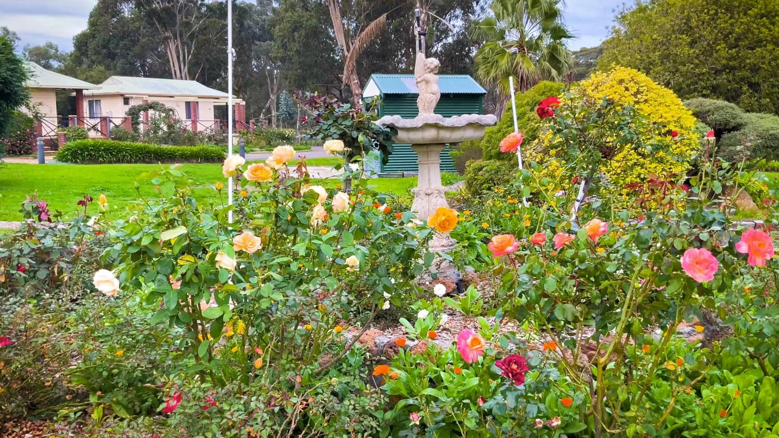 Mount Barker Valley Views Motel & Chalets, Western Australia