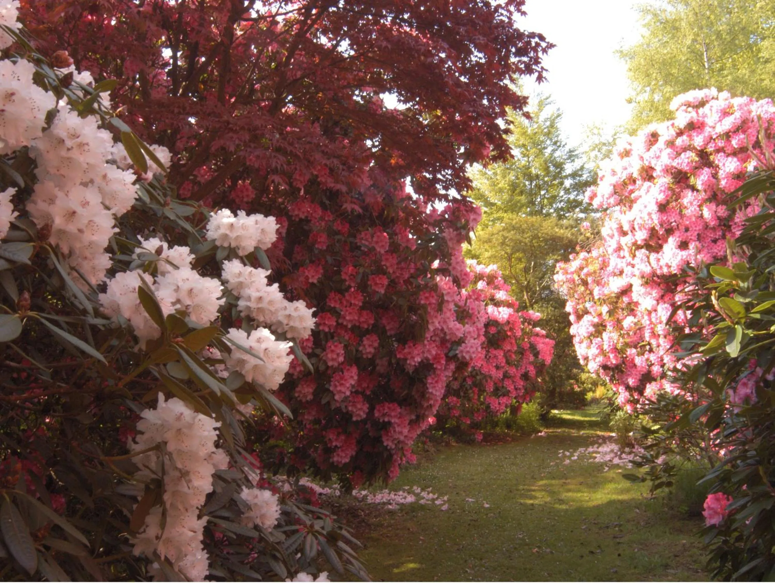 Garden in Muncaster Castle Coachman's Quarters