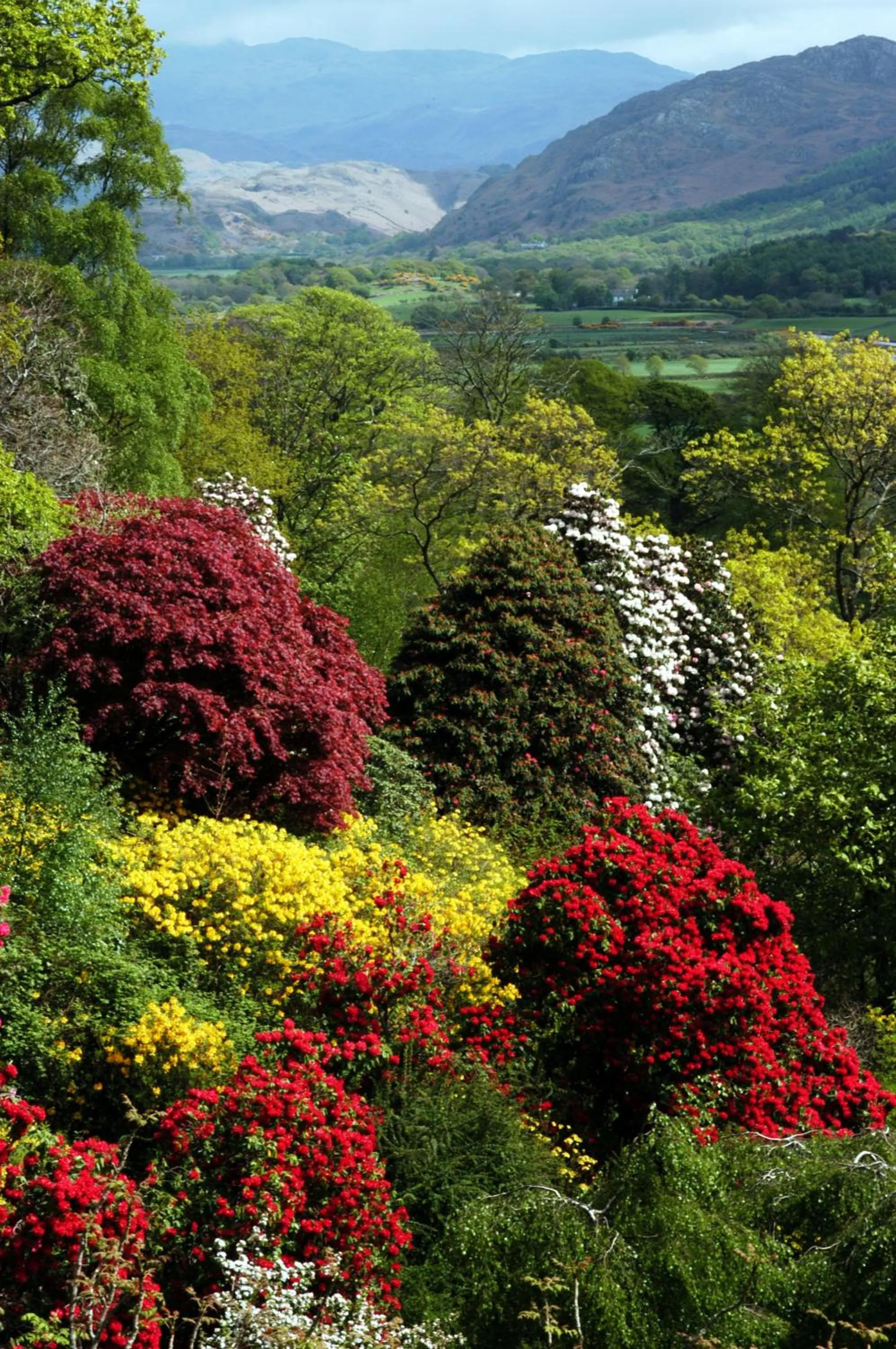 Natural landscape in Muncaster Castle Coachman's Quarters