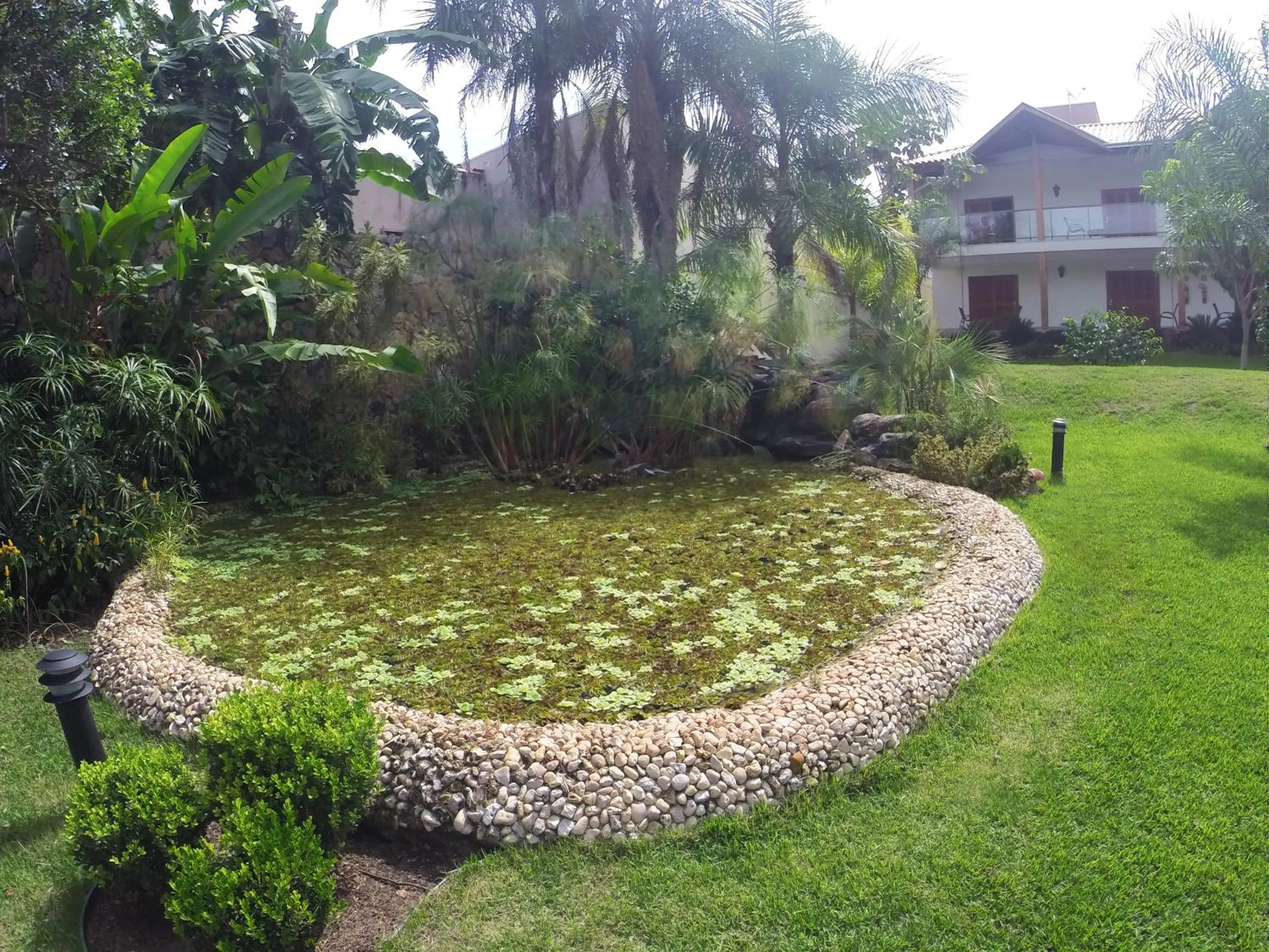 Garden in Pousada Surucuá - Bonito MS