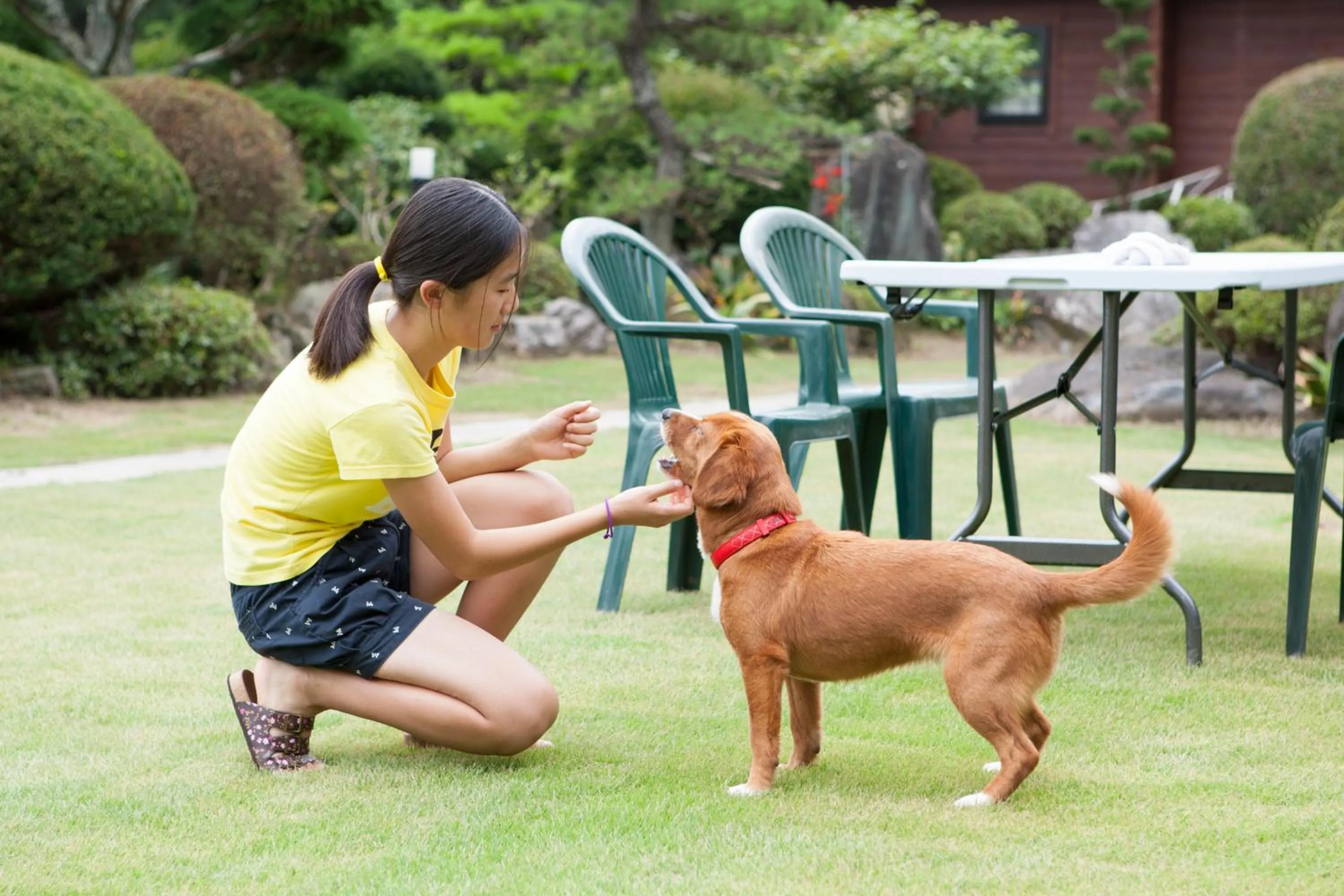 Pets in Aiwa no Mori Hotel
