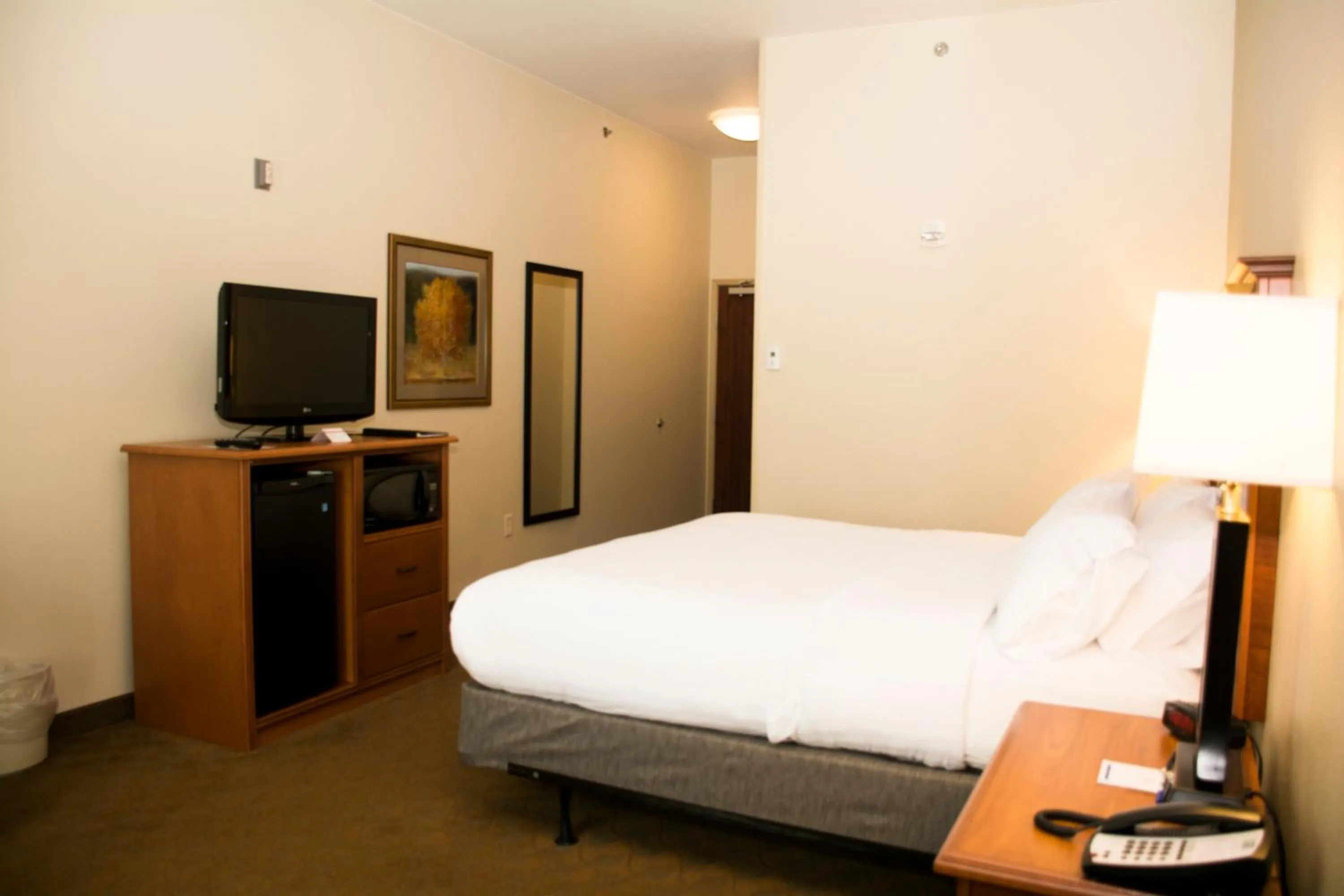 Photo of the whole room, Bed in Holiday Inn Express & Suites - Mason City by IHG