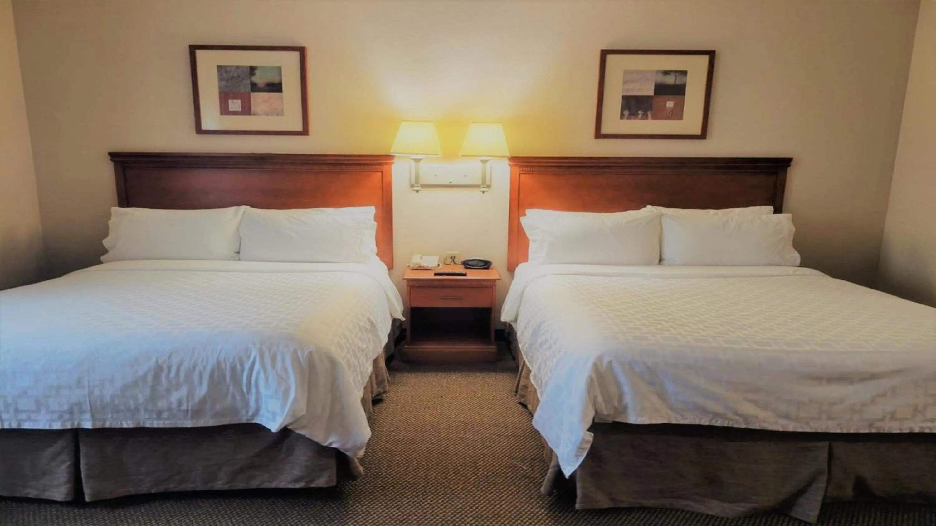 Photo of the whole room, Bed in Candlewood Suites San Antonio Downtown by IHG
