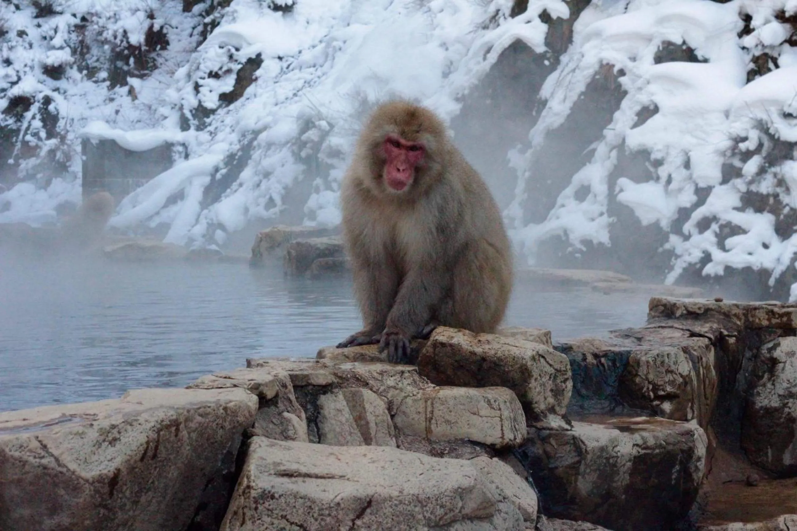 Nearby landmark in Refre Hotel