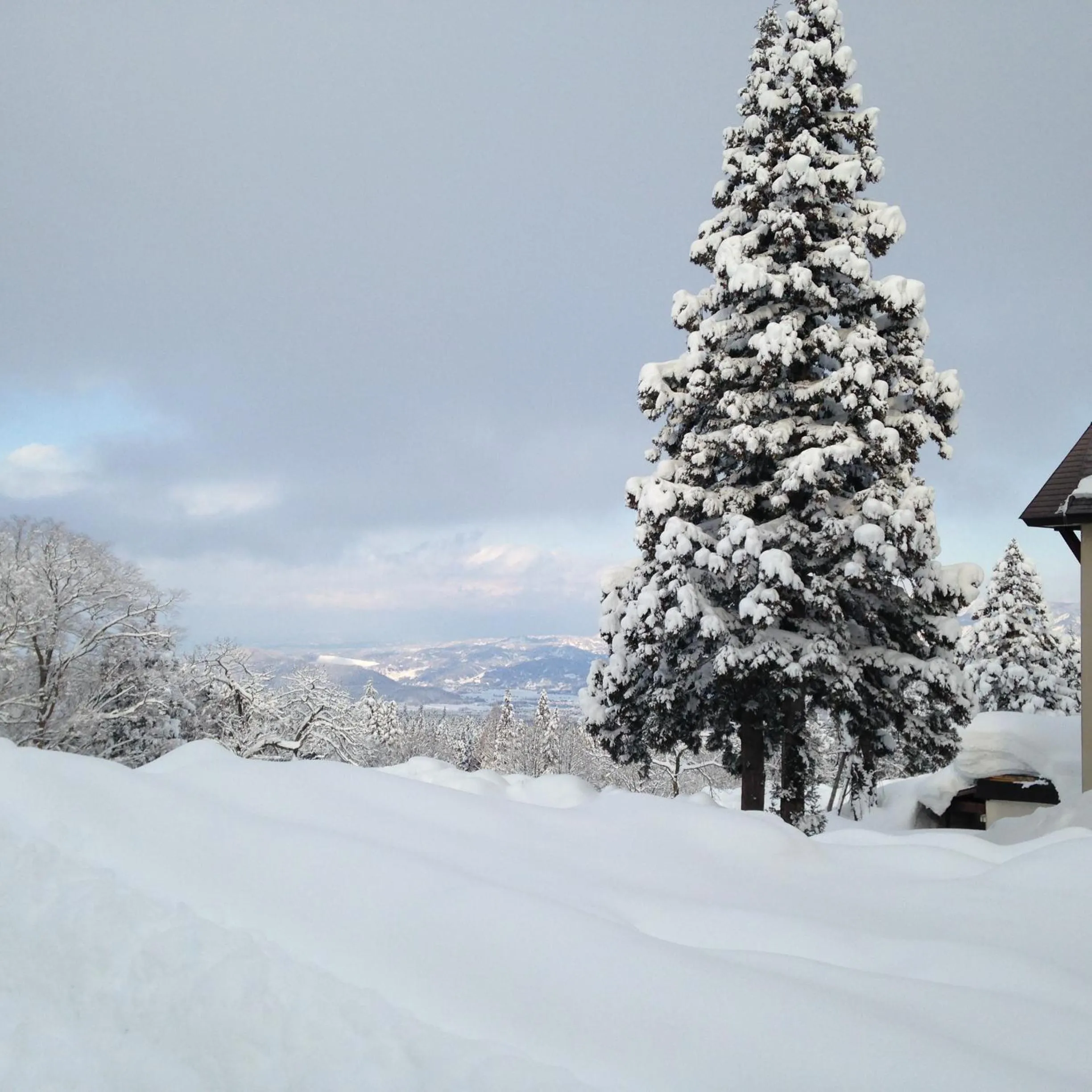 Winter in Refre Hotel