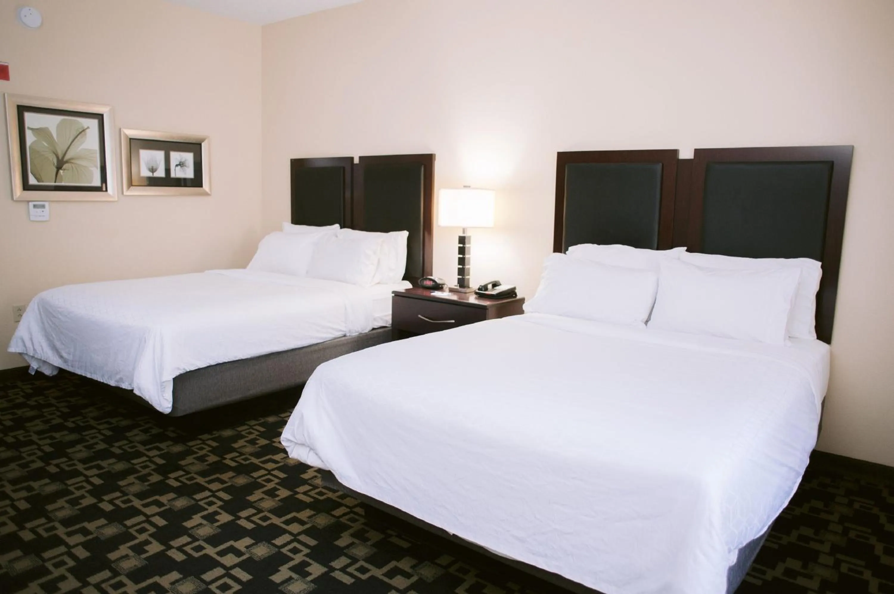 Photo of the whole room, Bed in Holiday Inn Express Hotel Raleigh Southwest by IHG