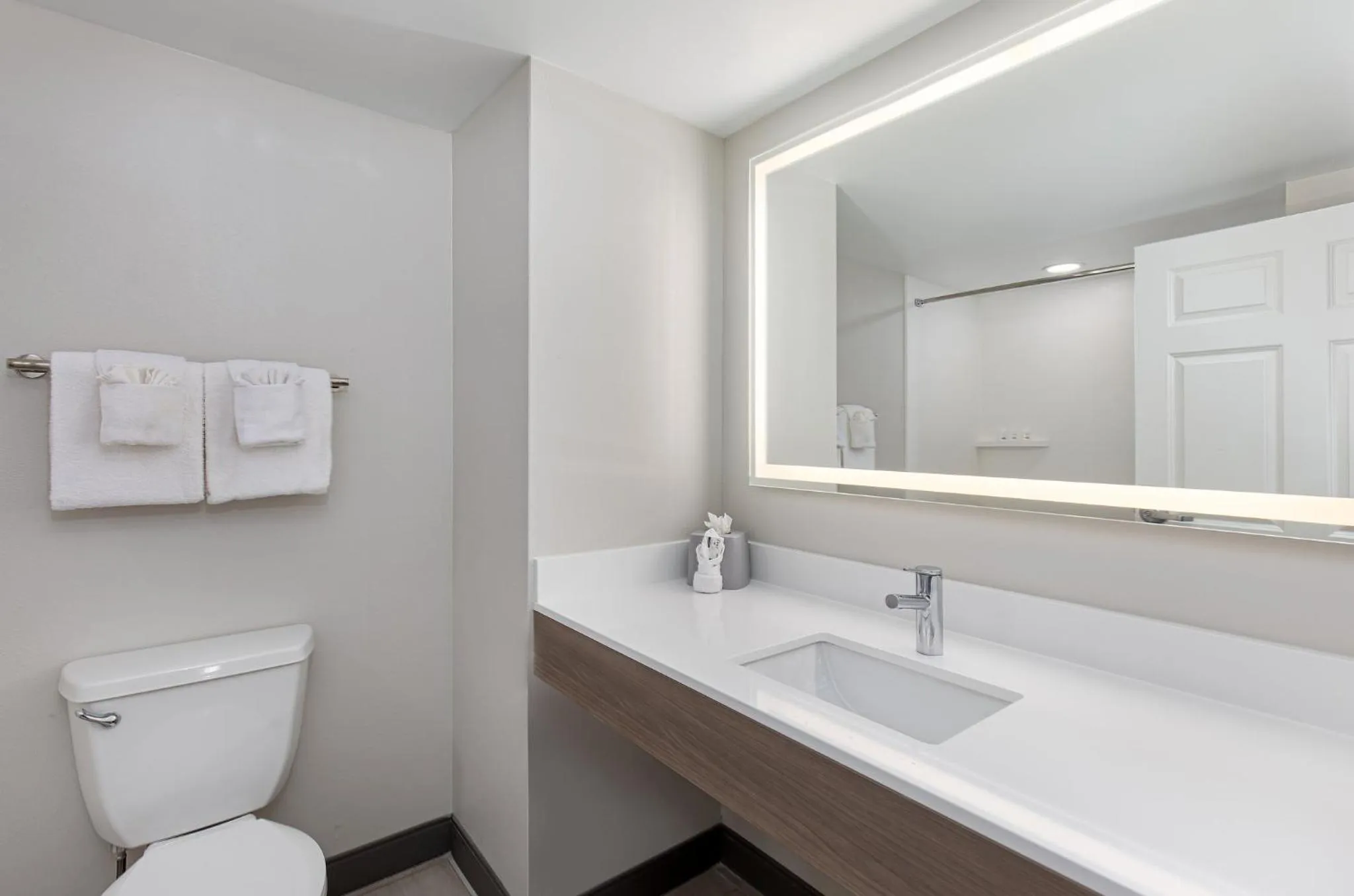 Bathroom in Holiday Inn Express & Suites Columbus at Northlake by IHG