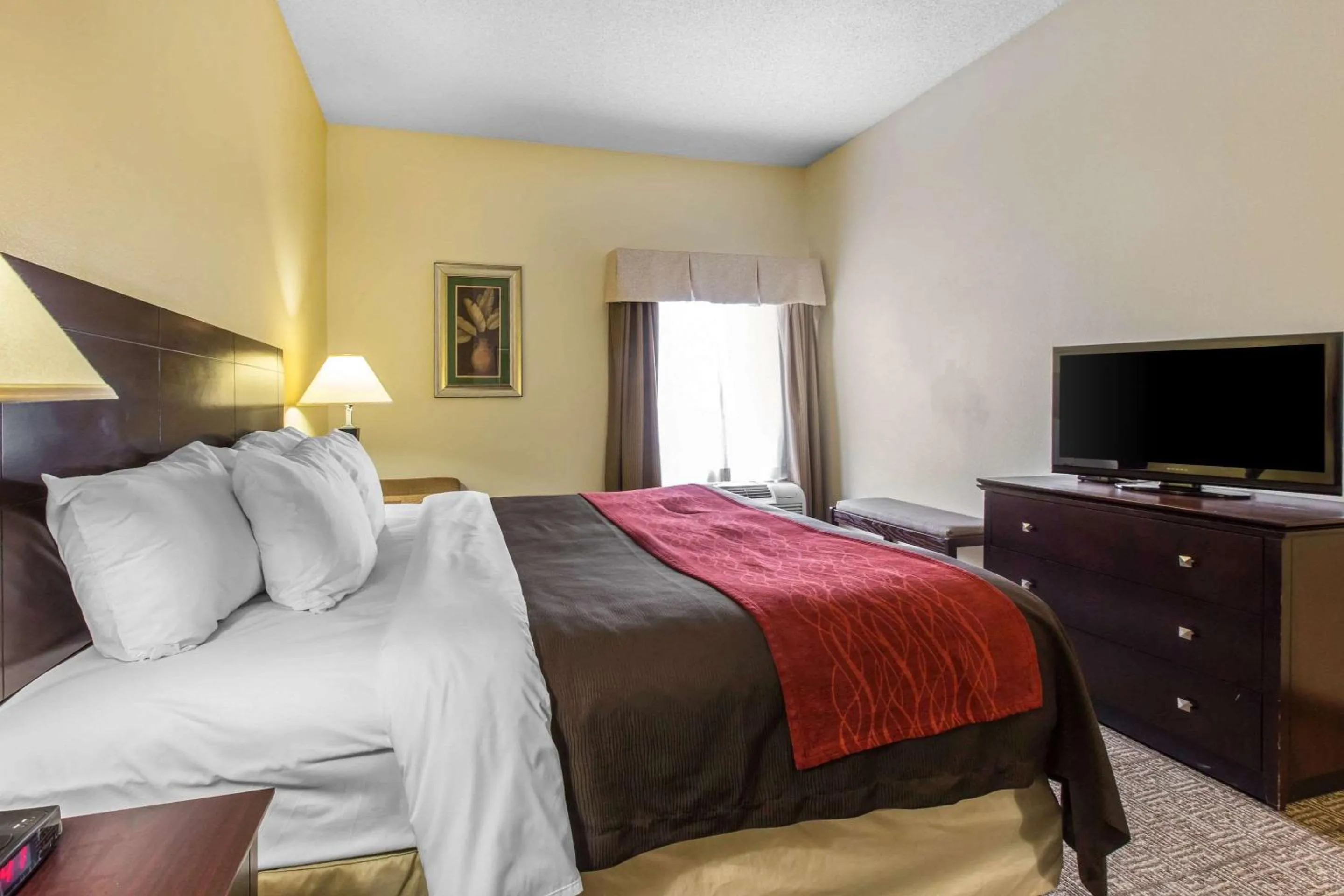 Photo of the whole room in Comfort Inn & Suites Thomson