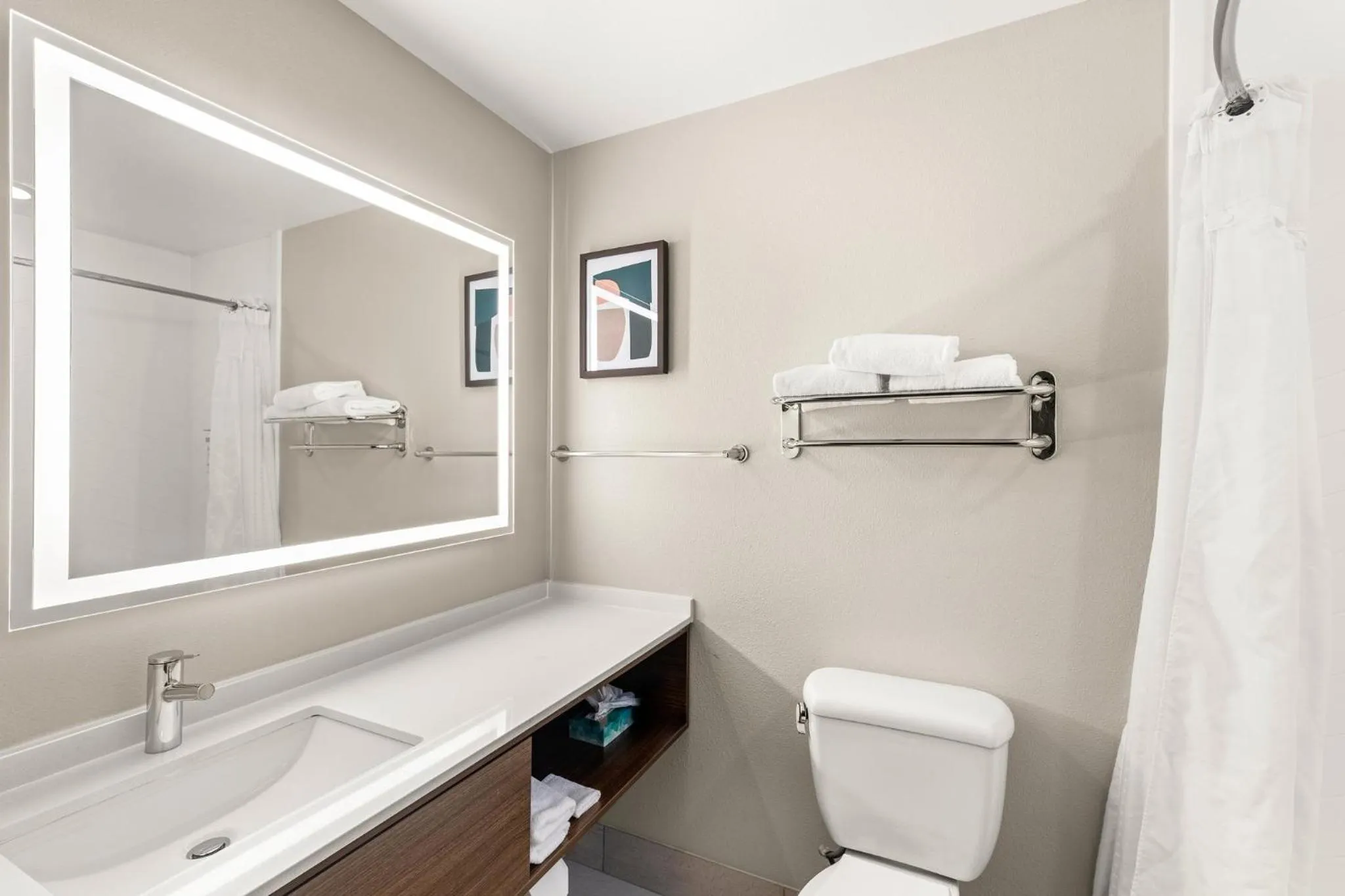 Bathroom in Holiday Inn Austin North by IHG