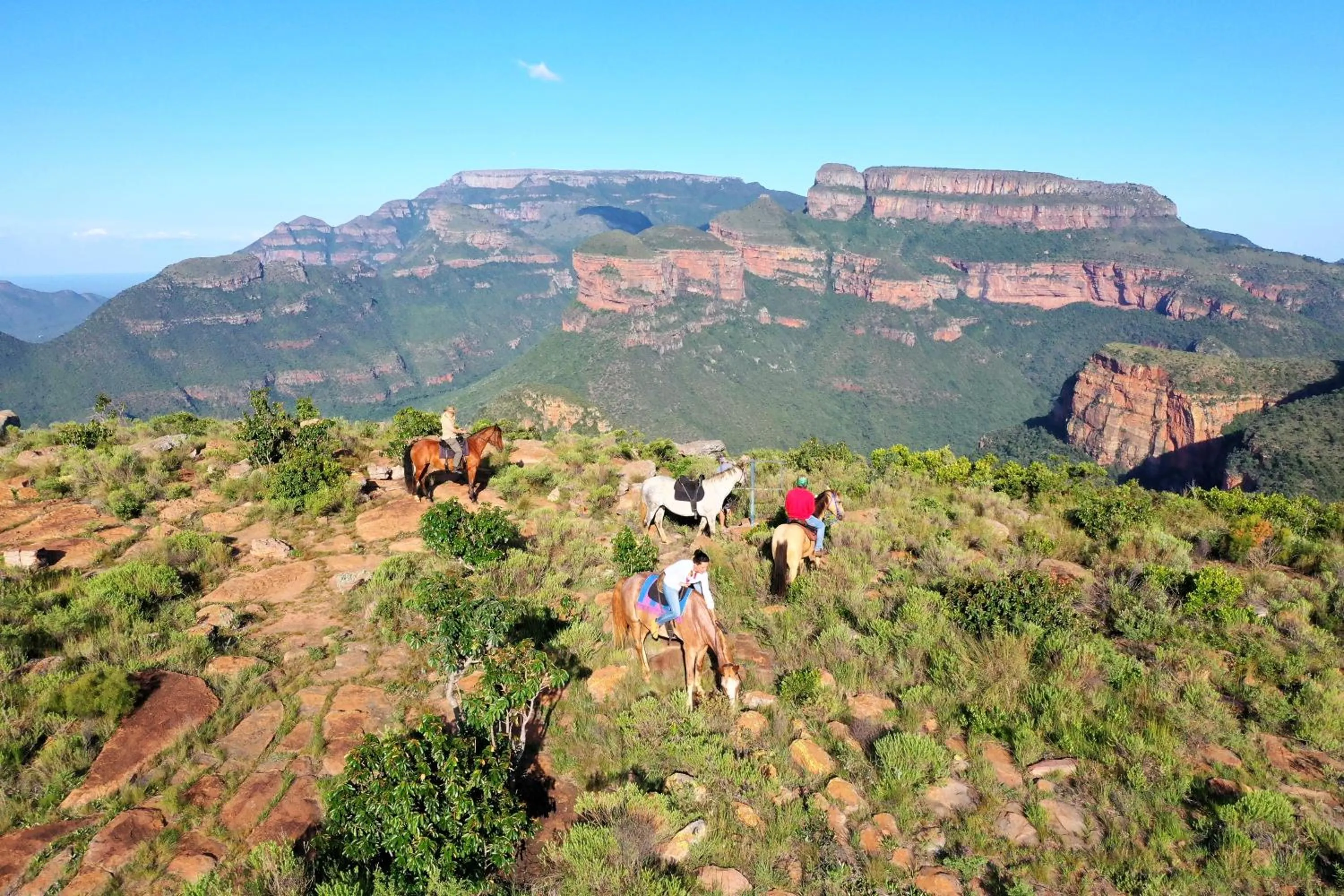 Horse-riding in Blyde Canyon, A Forever Resort