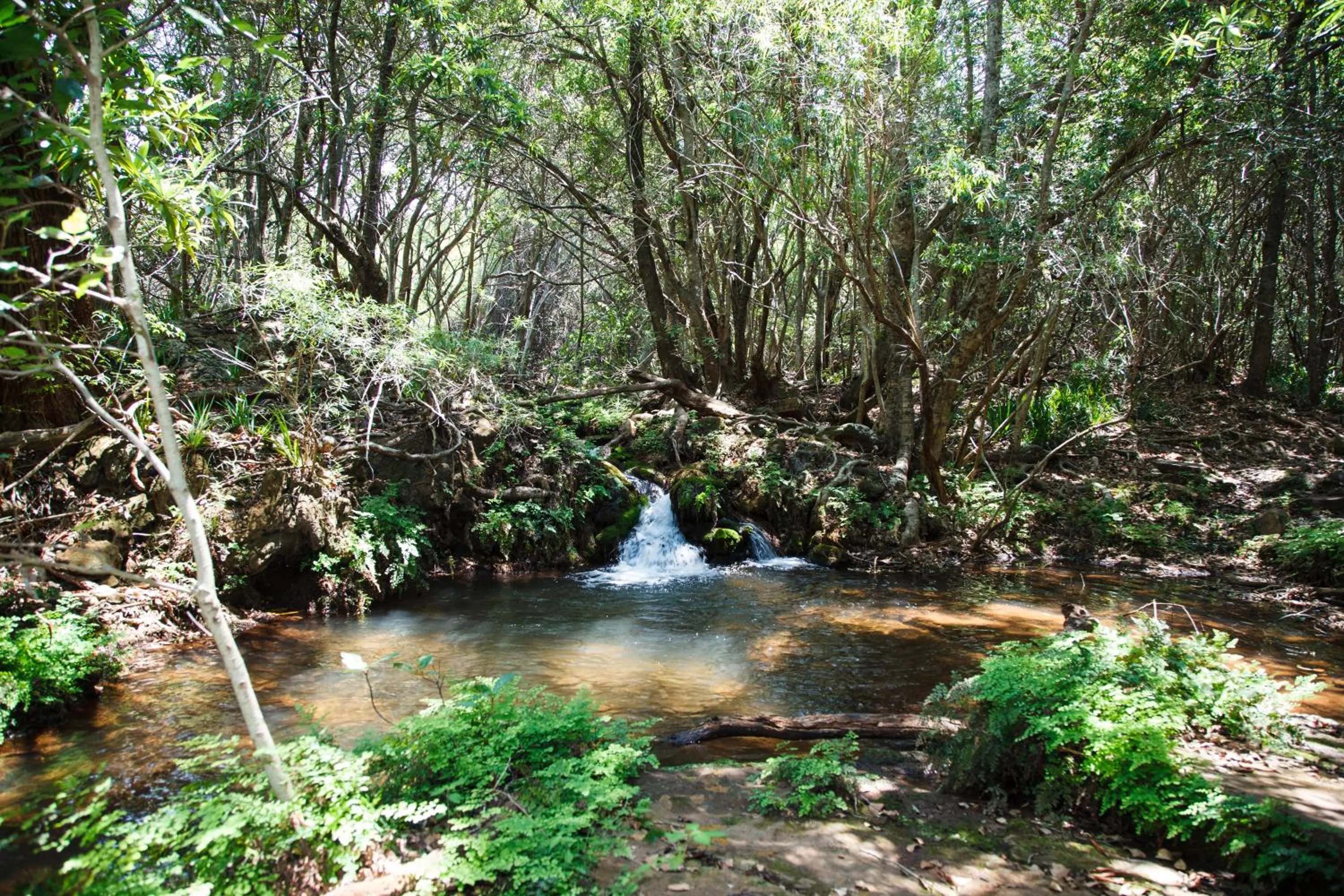 Hiking in Blyde Canyon, A Forever Resort