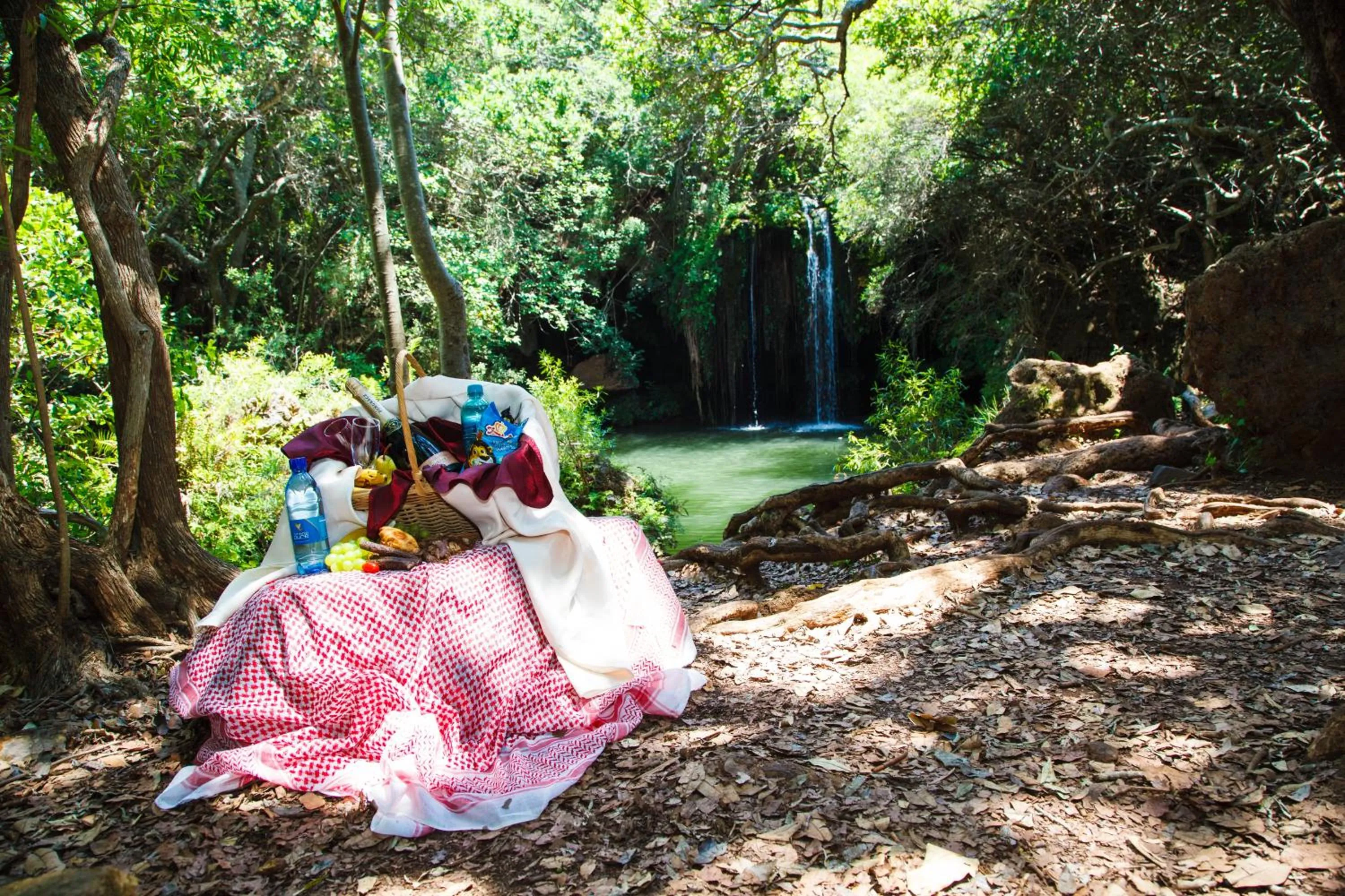 Hiking in Blyde Canyon, A Forever Resort