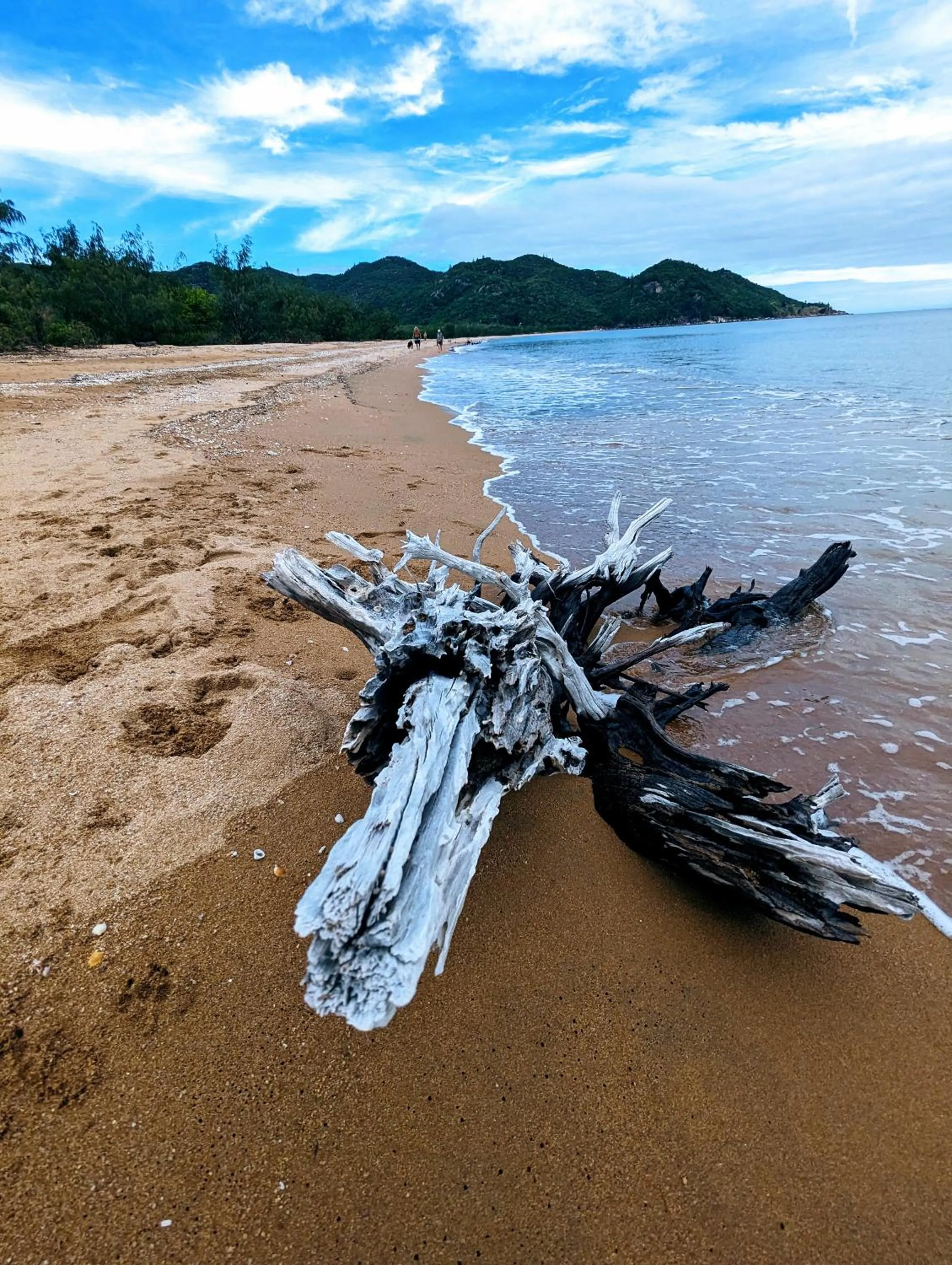 Beach in Sails On Horseshoe