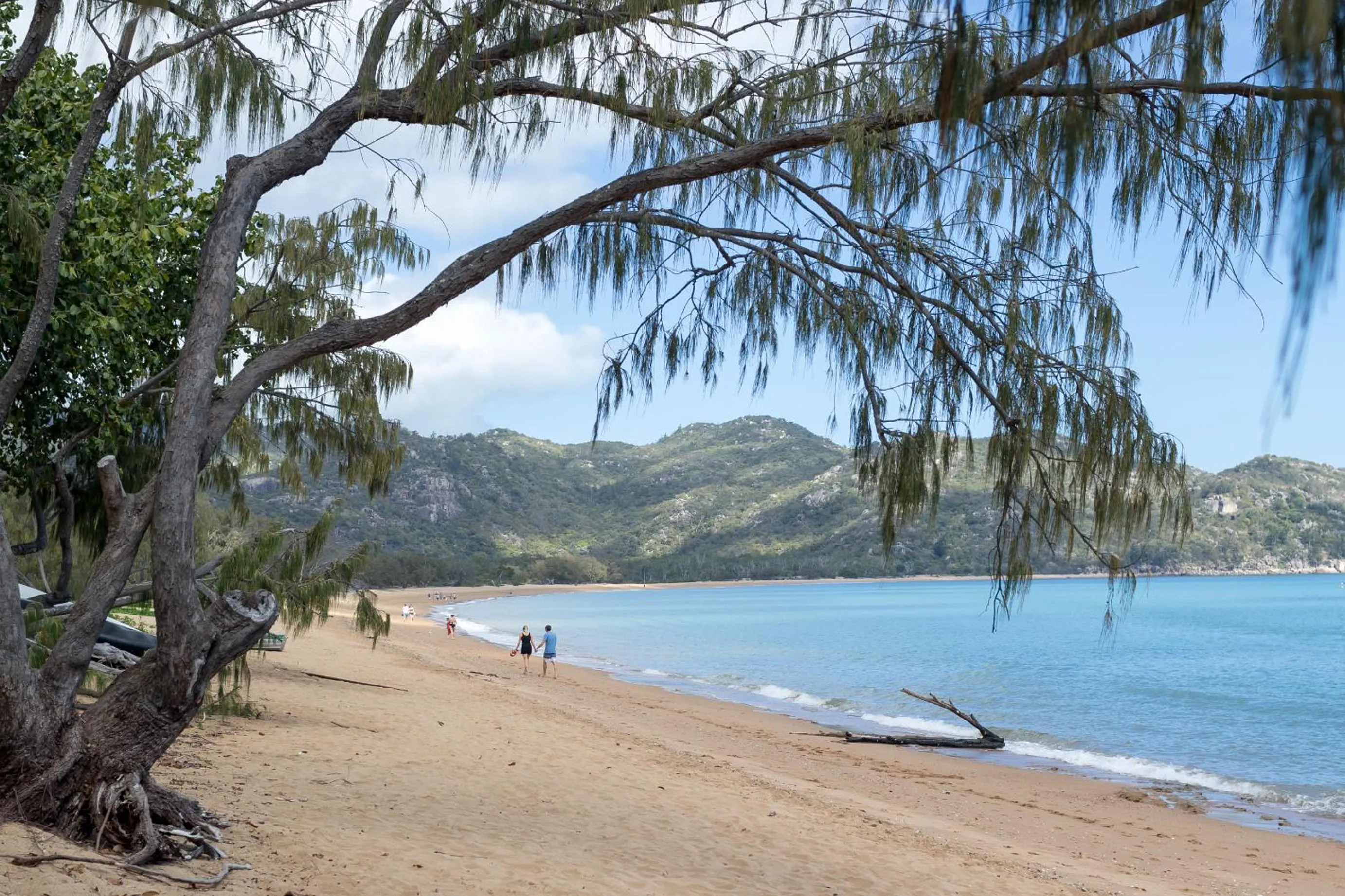 Beach in Sails On Horseshoe
