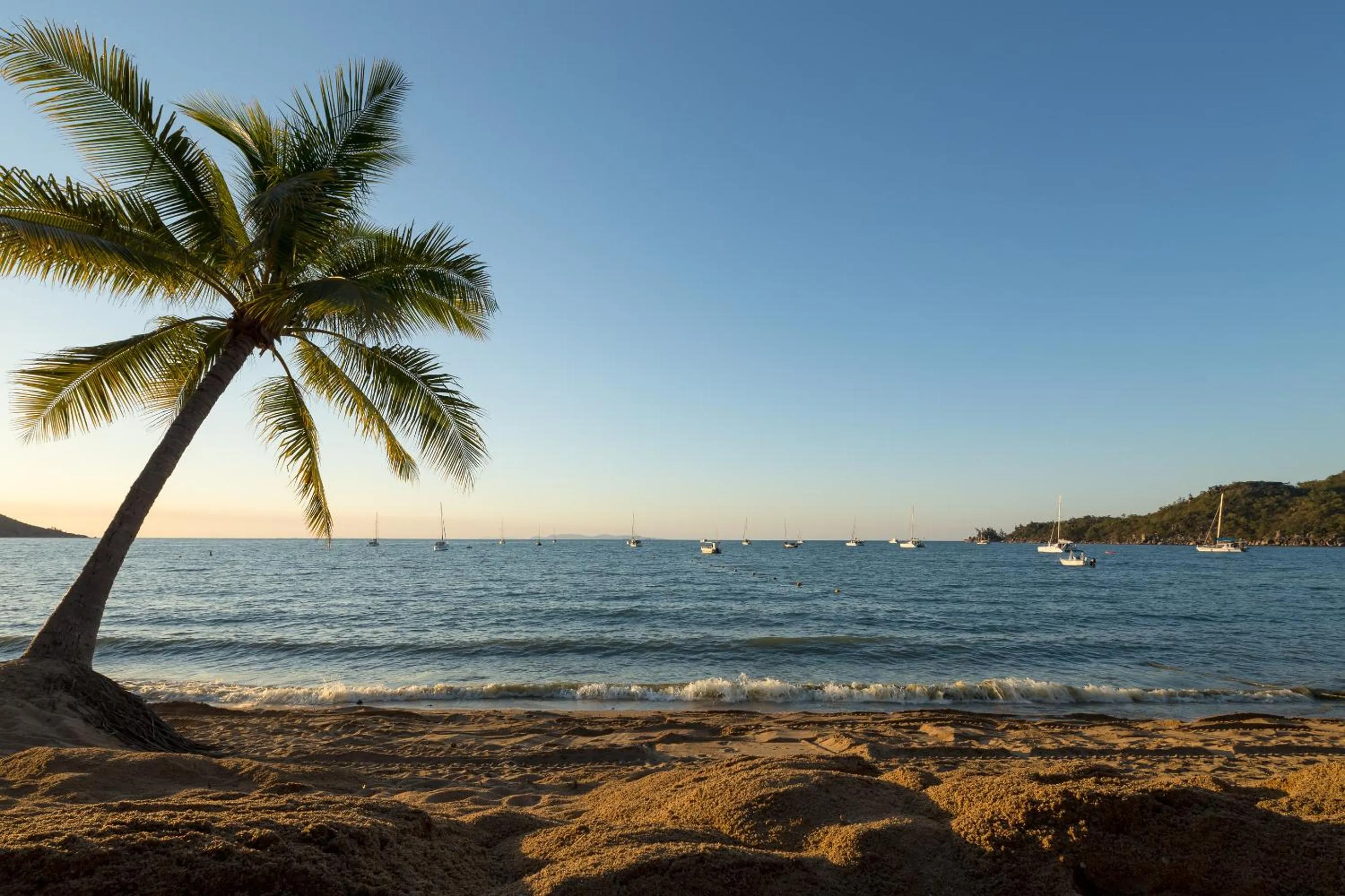 Beach in Sails On Horseshoe