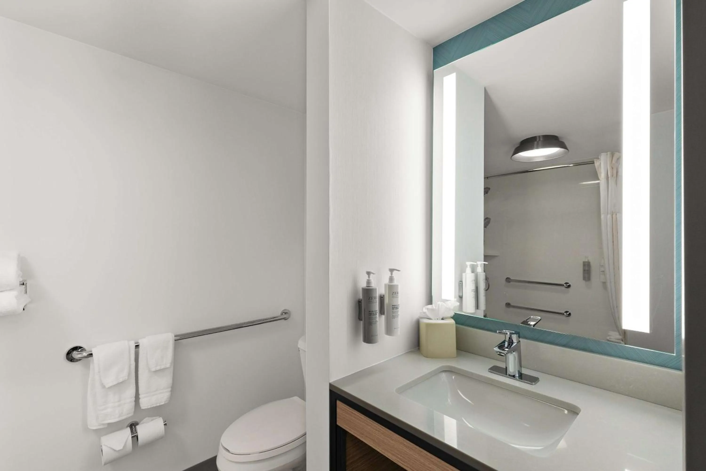 Bathroom in Hilton Garden Inn Atlanta East/Stonecrest