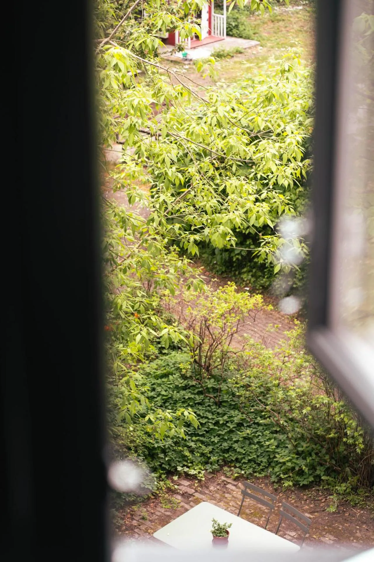Inner courtyard view in Rye115 Hotel