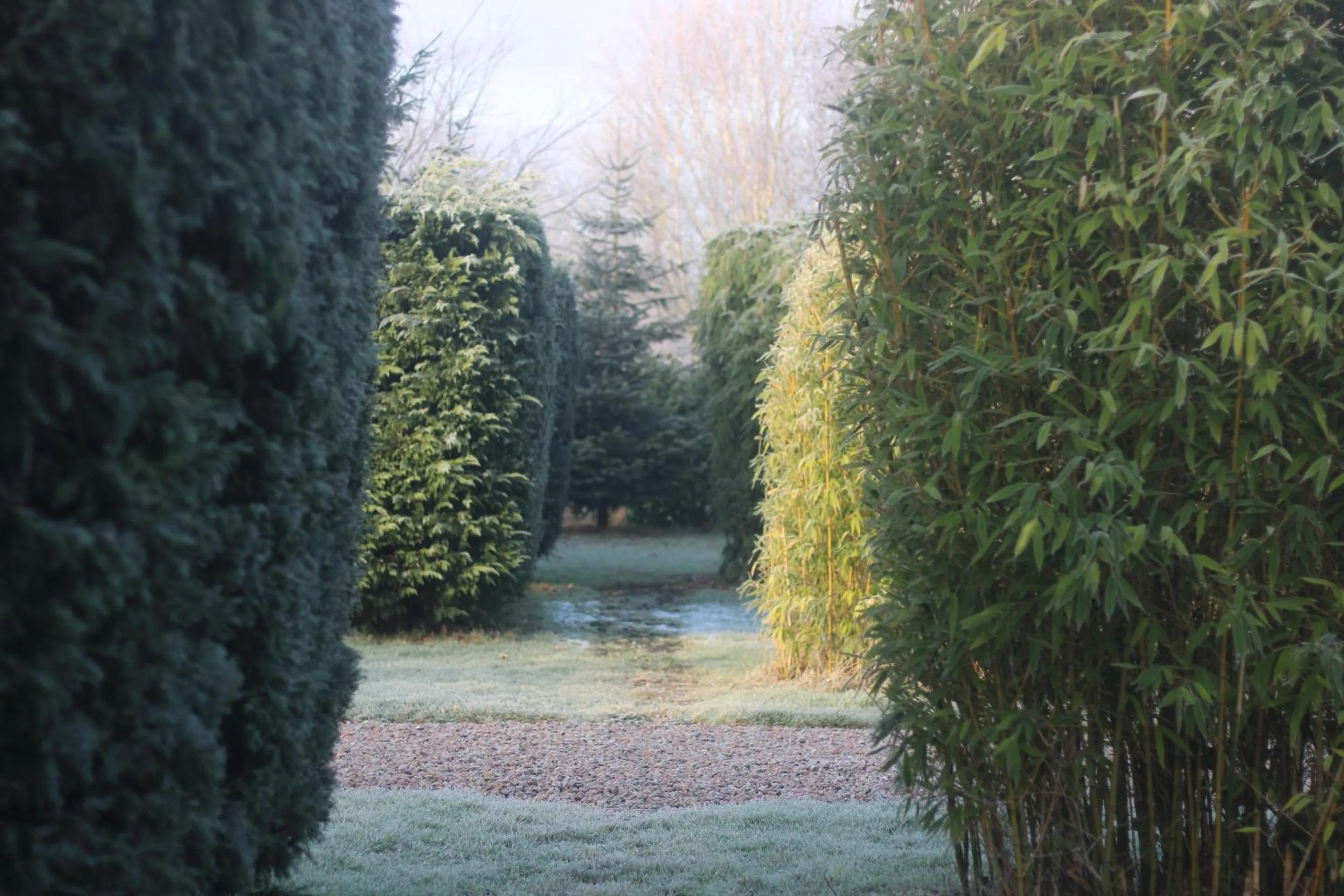 Garden in Hookwood Lodge London Gatwick