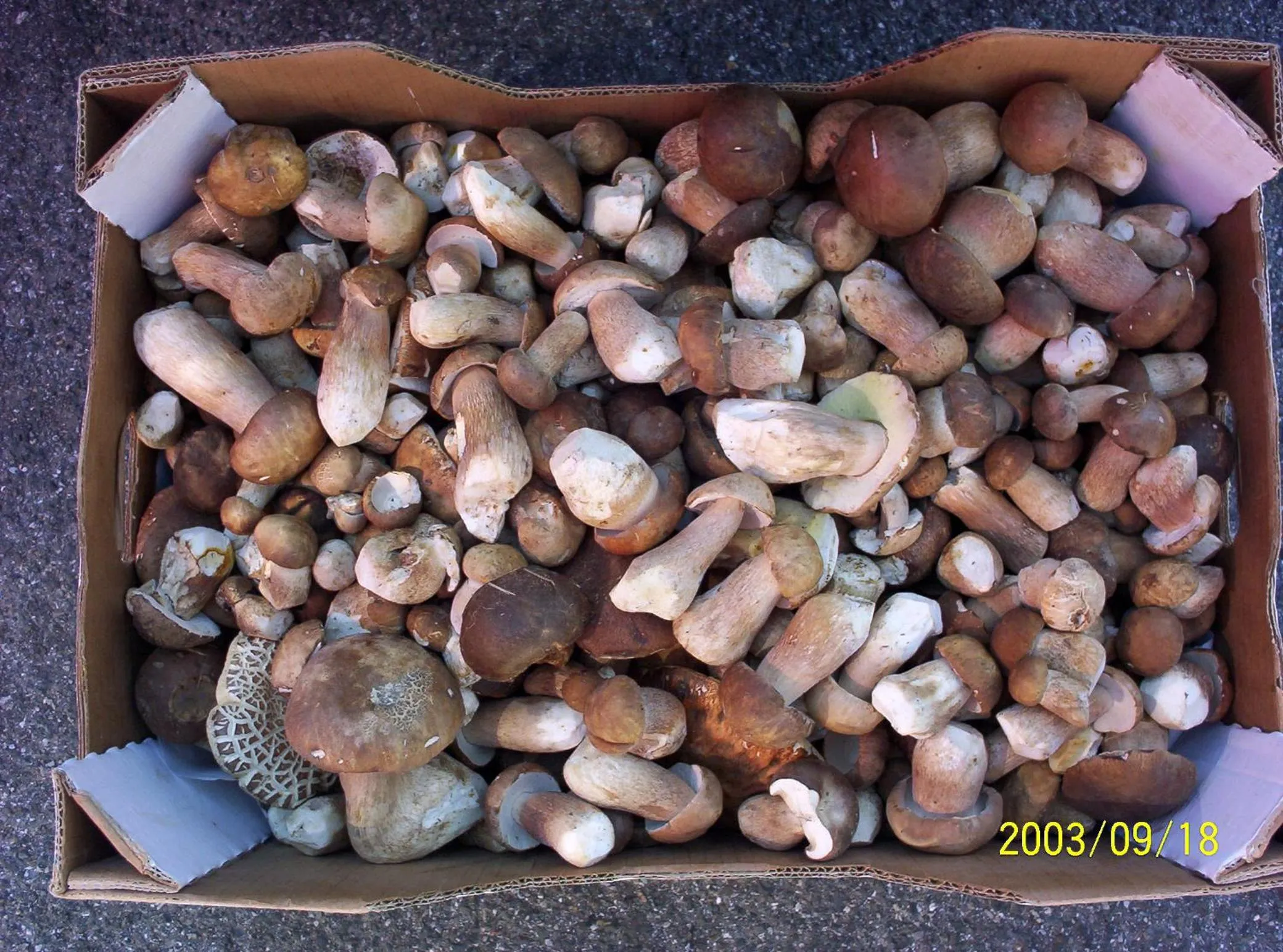 Food close-up in Hotel Azkue